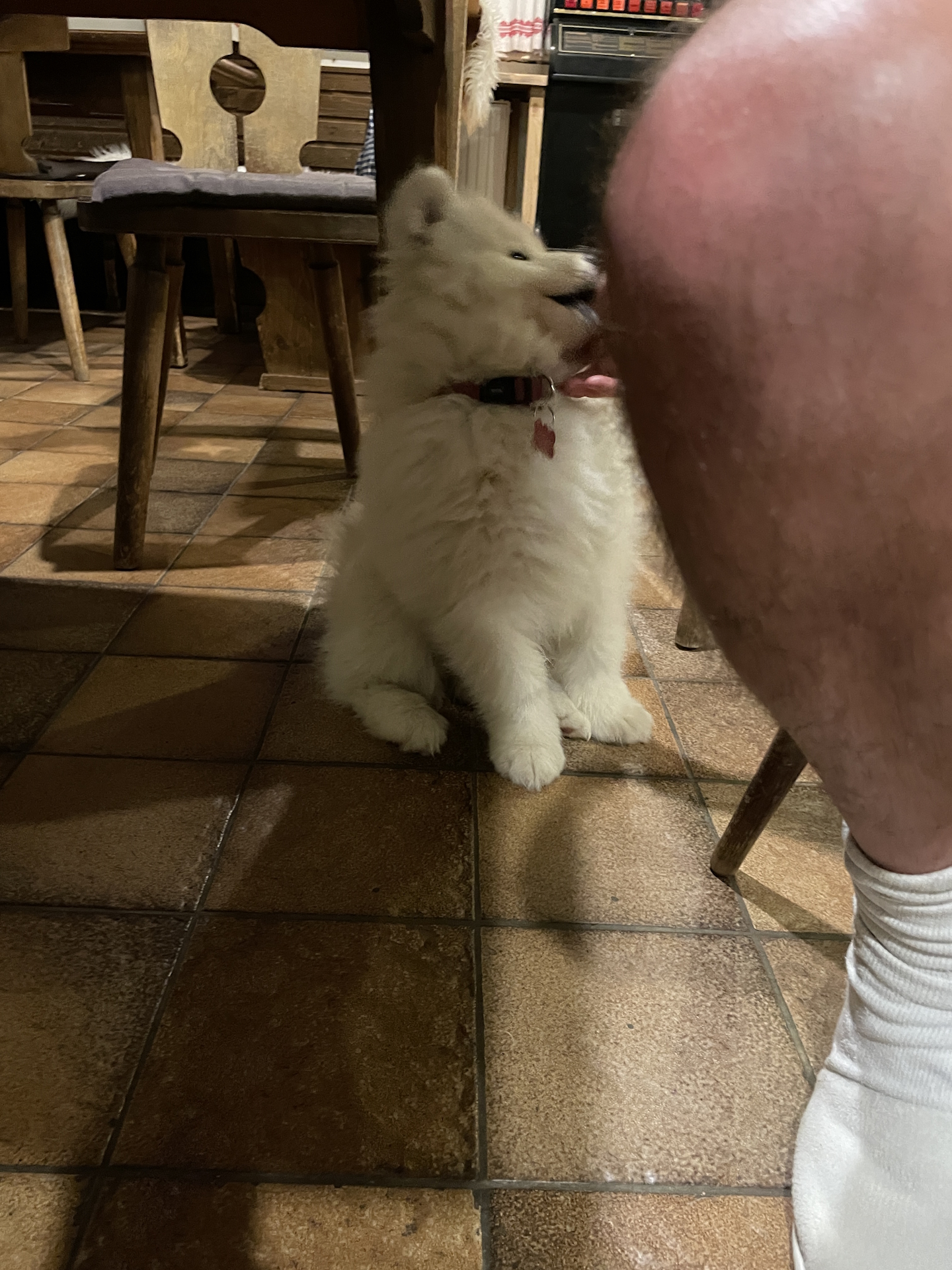 Zoey needs entertainment