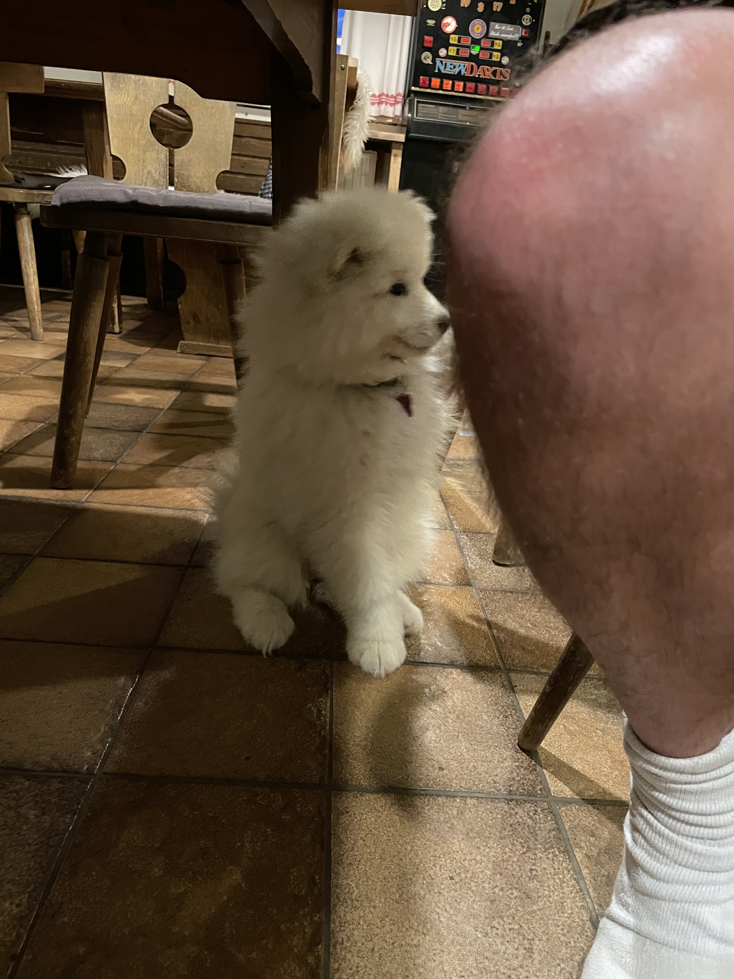 Zoey needs entertainment