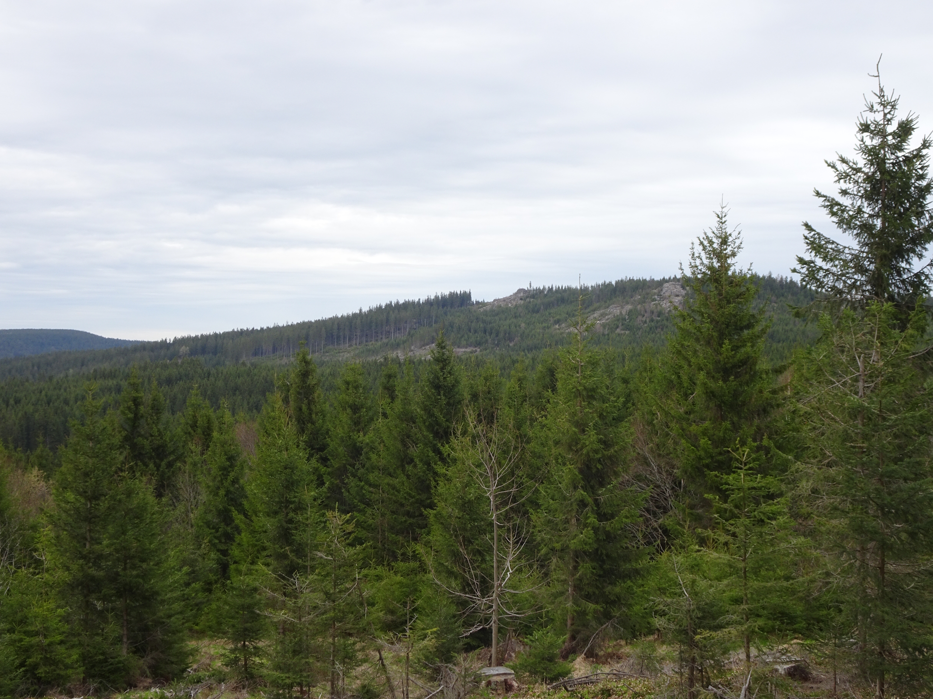 On the trail through the forest towards the Czech border