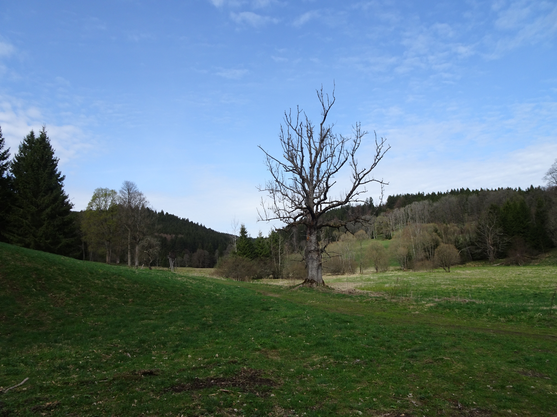 View from the <i>Stribne Hute</i> (rest area)