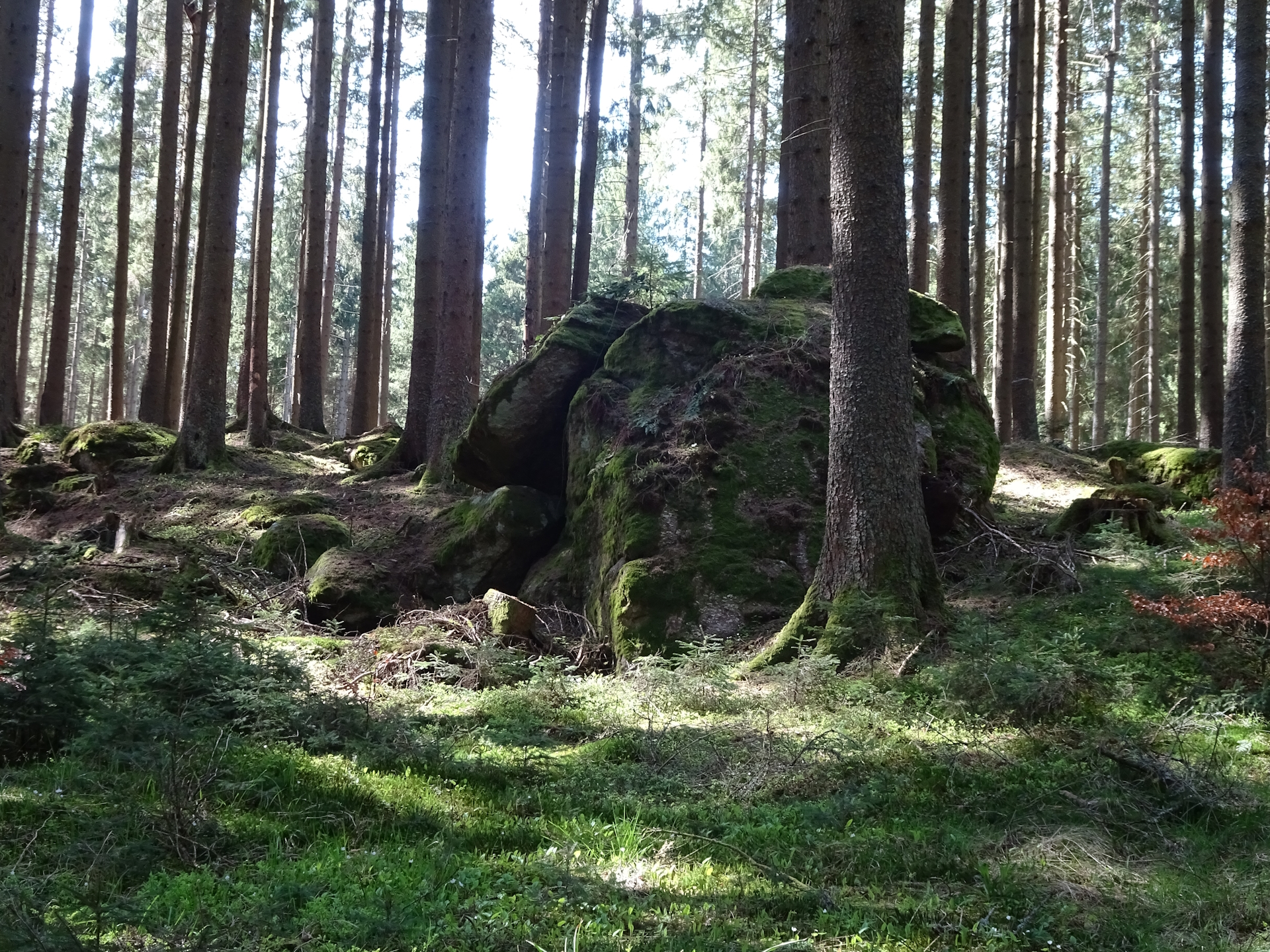 On trail <i>V14</i> towards the Austrian border