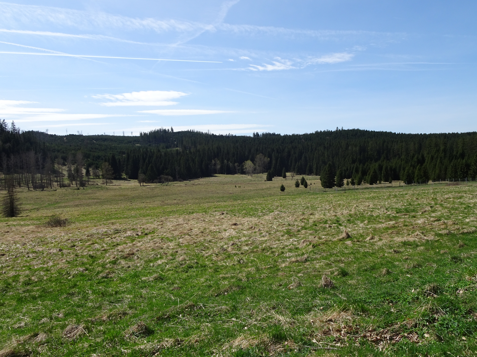 On the trail towards <i>Schwarzauer Hof</i>