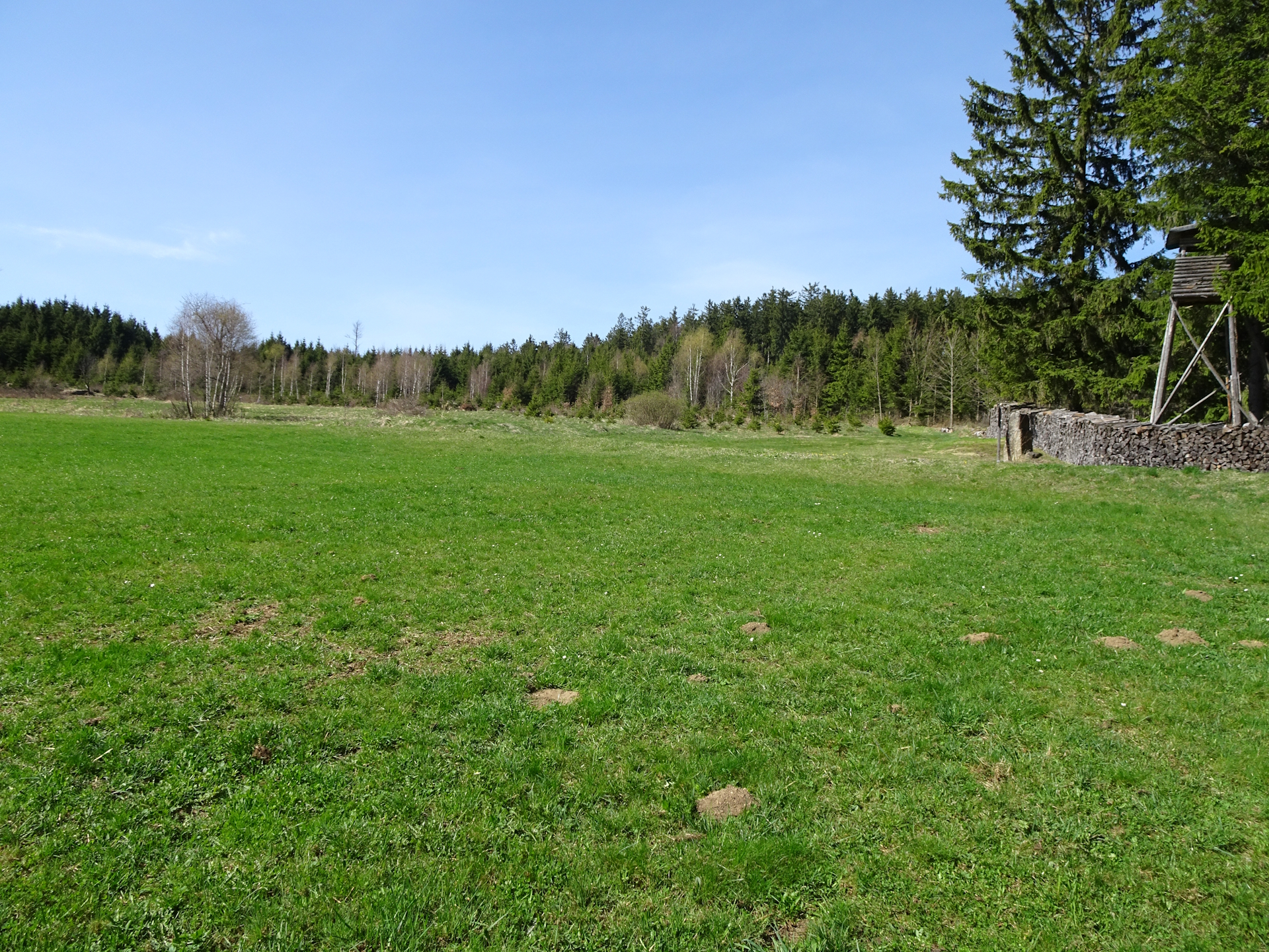 The <i>Himmelreich</i> meadow