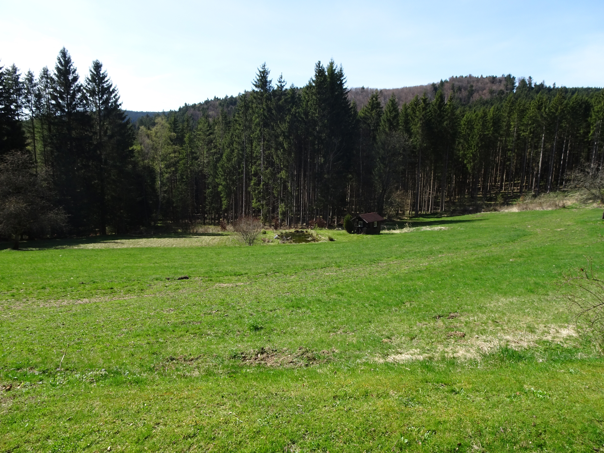On the trail <i>05</i> towards <i>Karlstift</i>