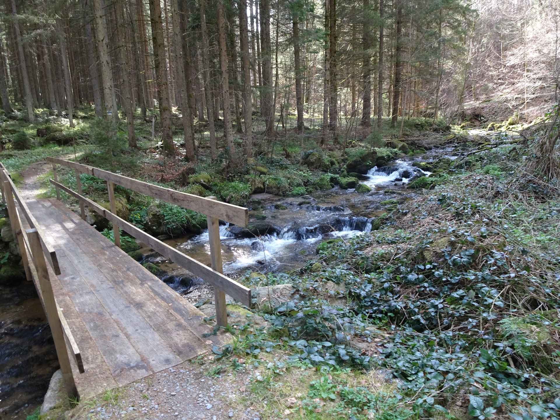 Nice hike through the forest towards <i>Karlstift</i>