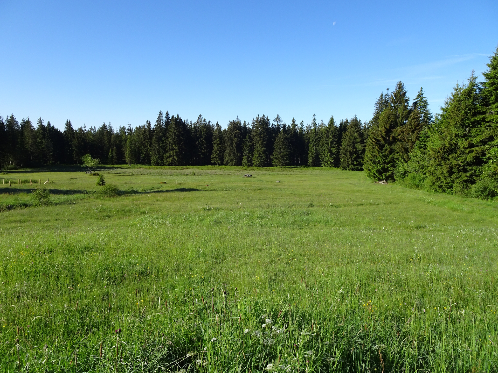On the trail towards <i>Liebenau</i>