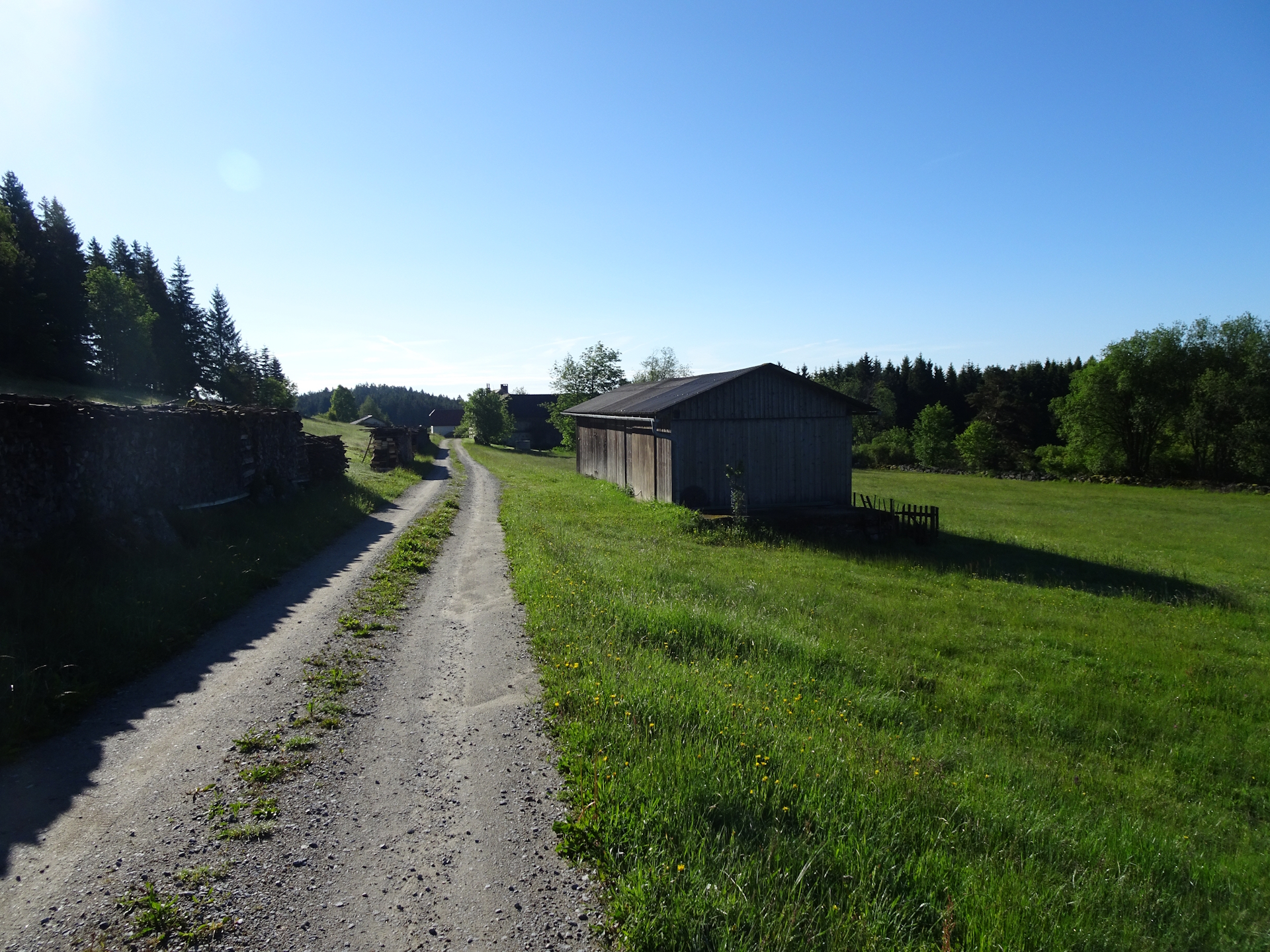 Trail towards <i>Liebenau</i>