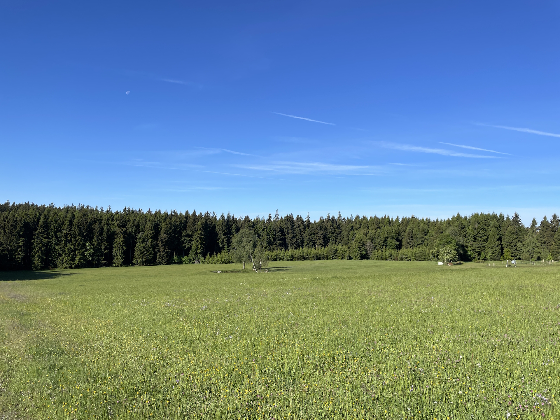On the trail towards <i>Liebenau</i>