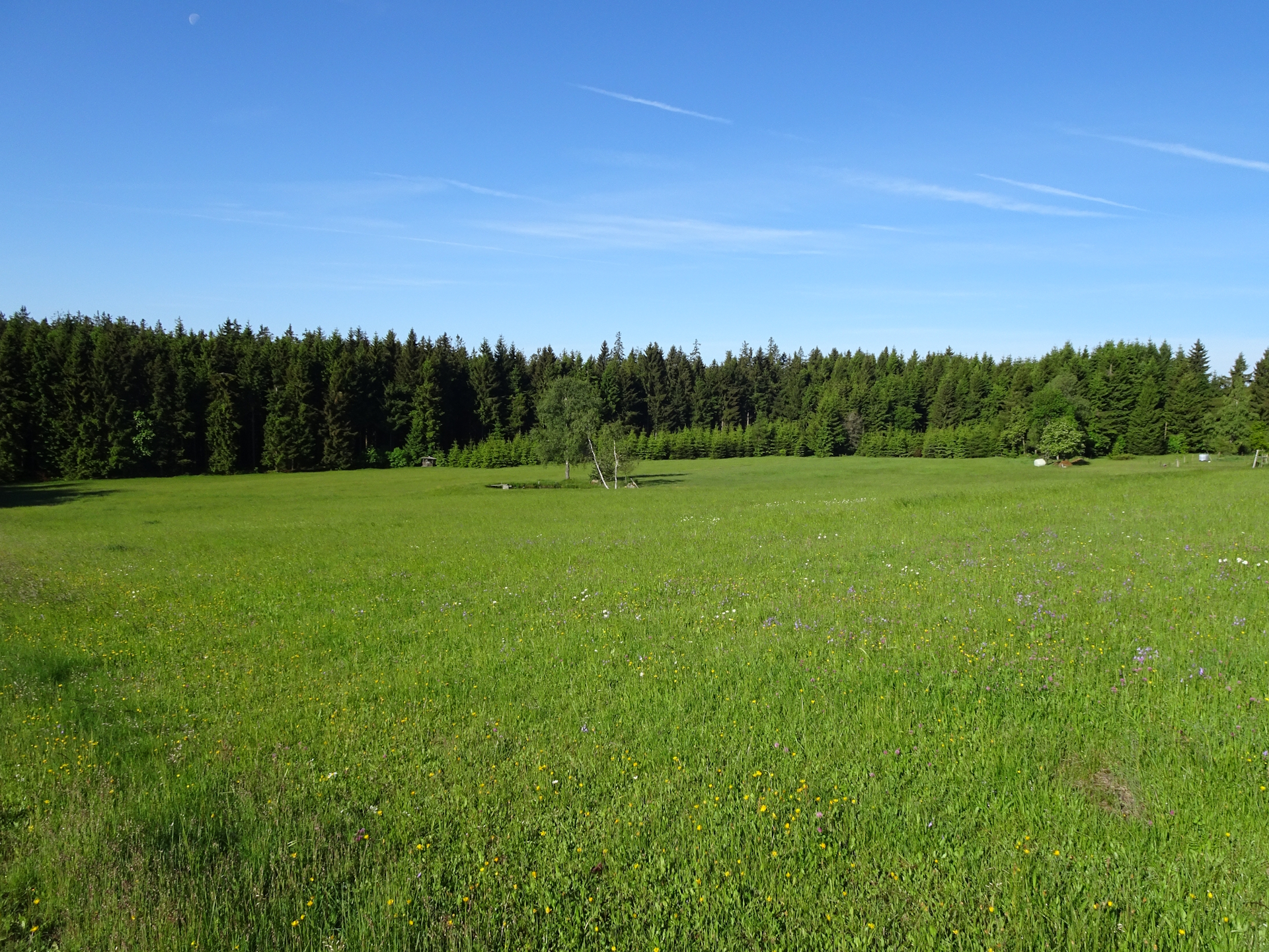 On the trail towards <i>Liebenau</i>
