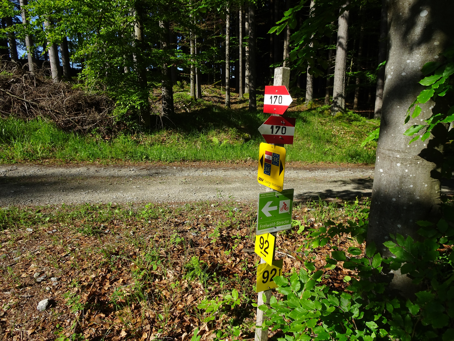 Follow the directions marked in the yellow square!