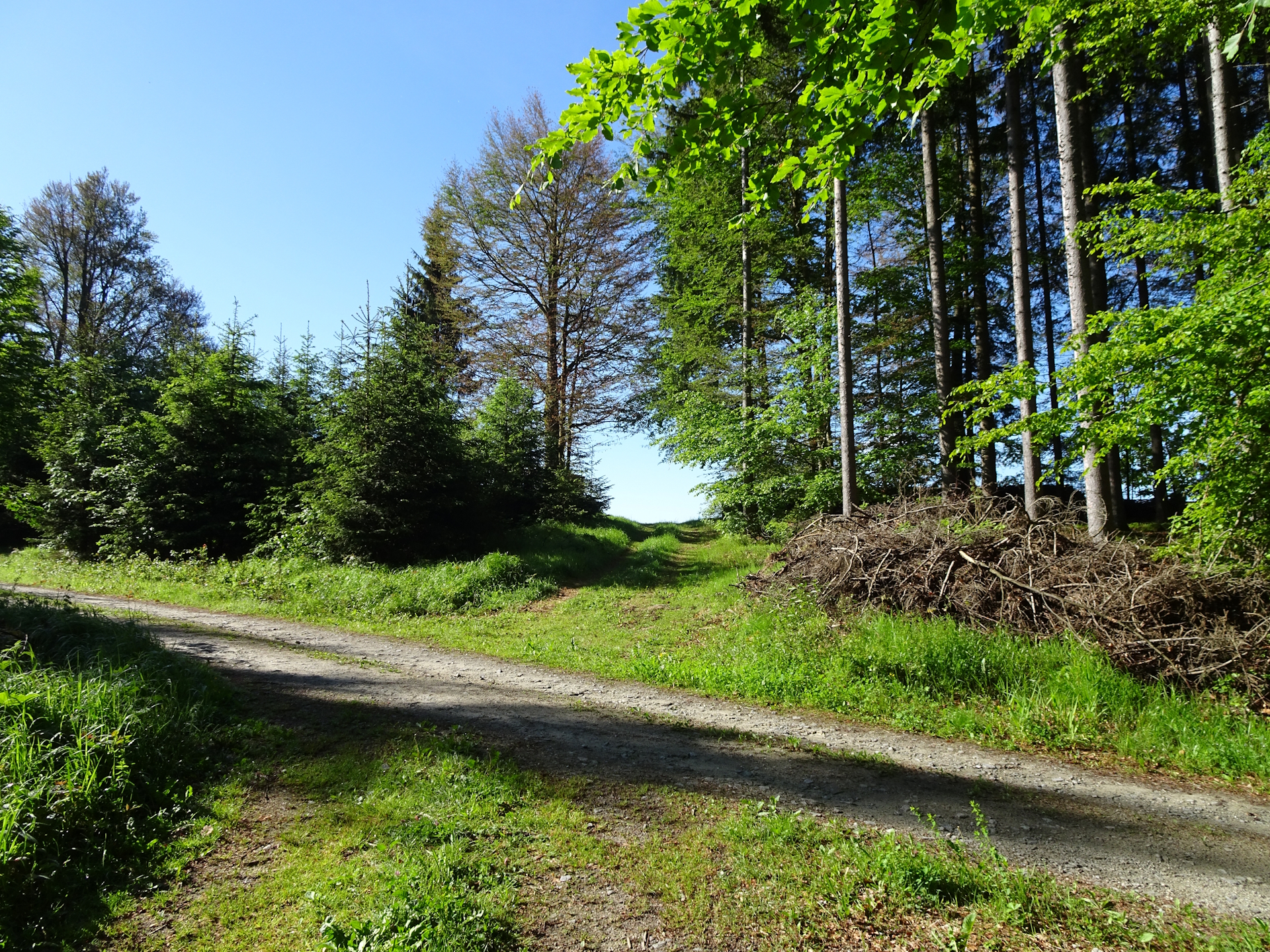 On the trail towards <i>Liebenau</i>