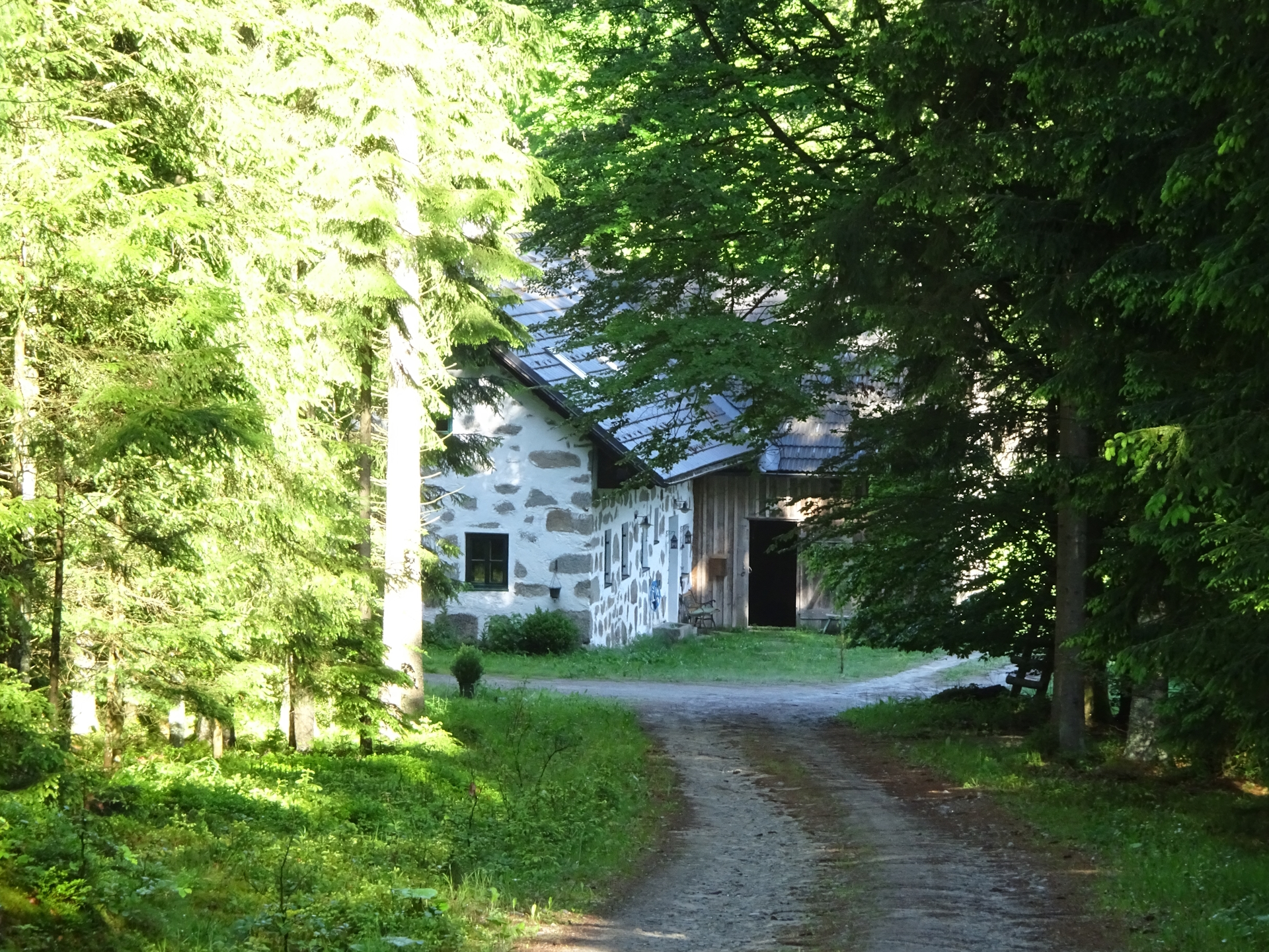 On the trail towards <i>Liebenau</i>
