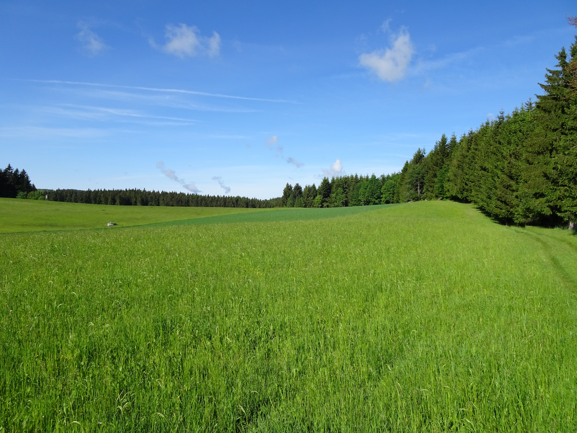 Beautiful scenery on the trail towards <i>Liebenau</i>