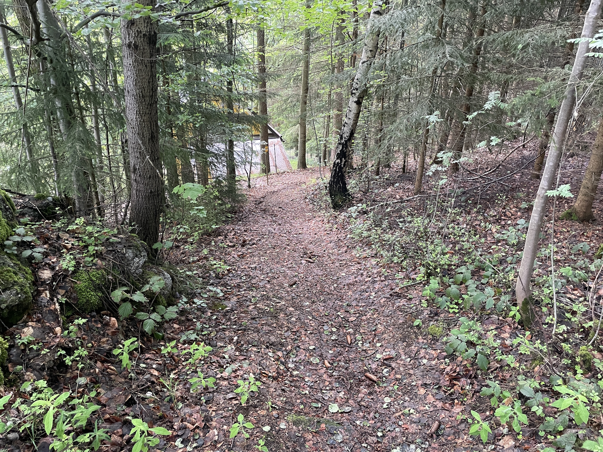 Trail after <i>Liebenau</i> towards <i>Arbesbach</i>