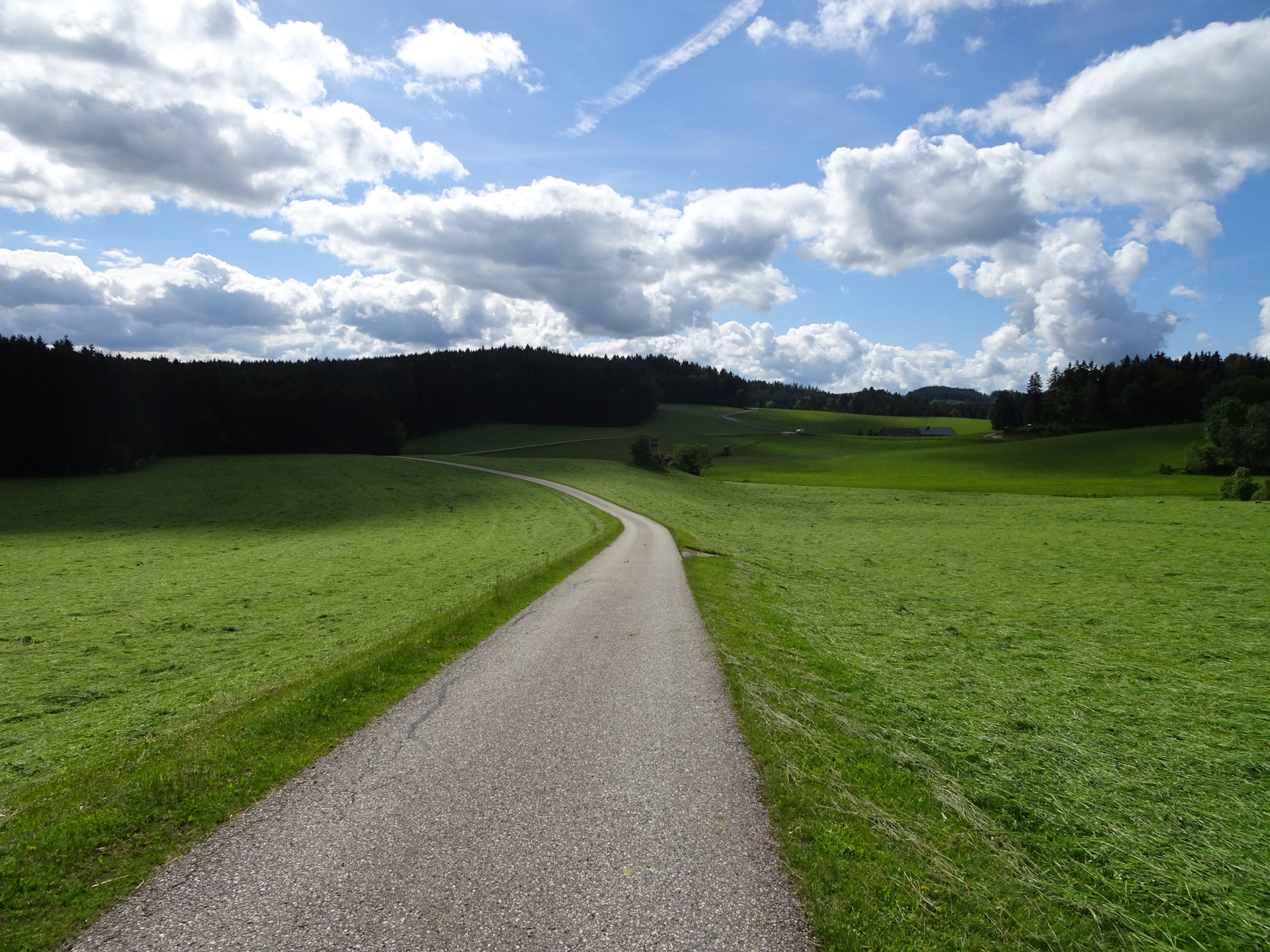 On the trail towards <i>Arbesbach</i> heading towards <i>Großweizner</i> farm