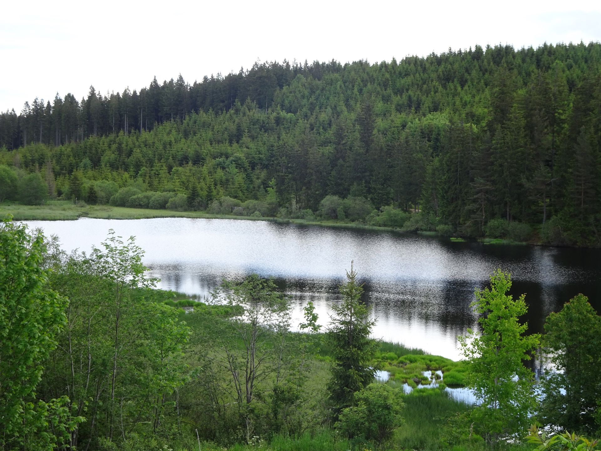 The beautiful <i>Rubner Teich</i>