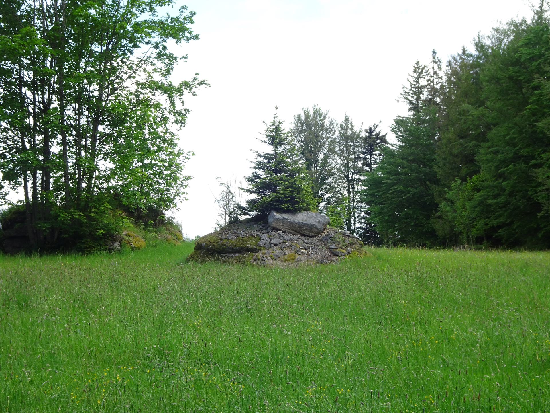 Towards <i>Lehrmüller Mauer</i>