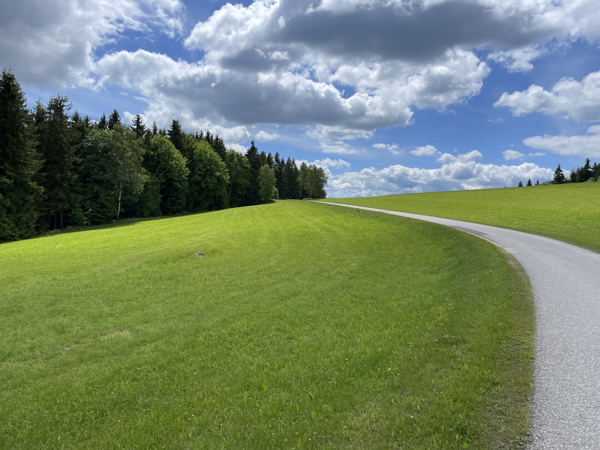 On the trail towards <i>Rammelhof</i>