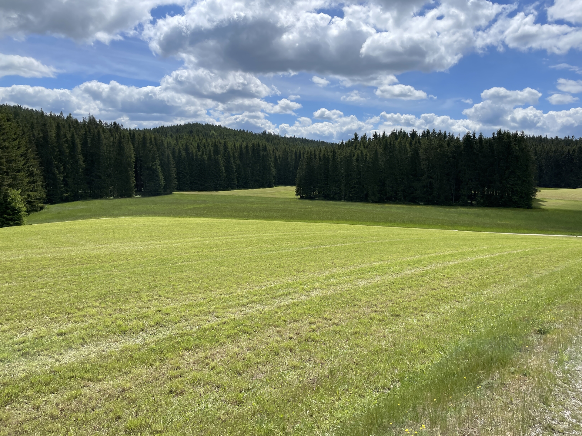 On the trail towards <i>Rammelhof</i>