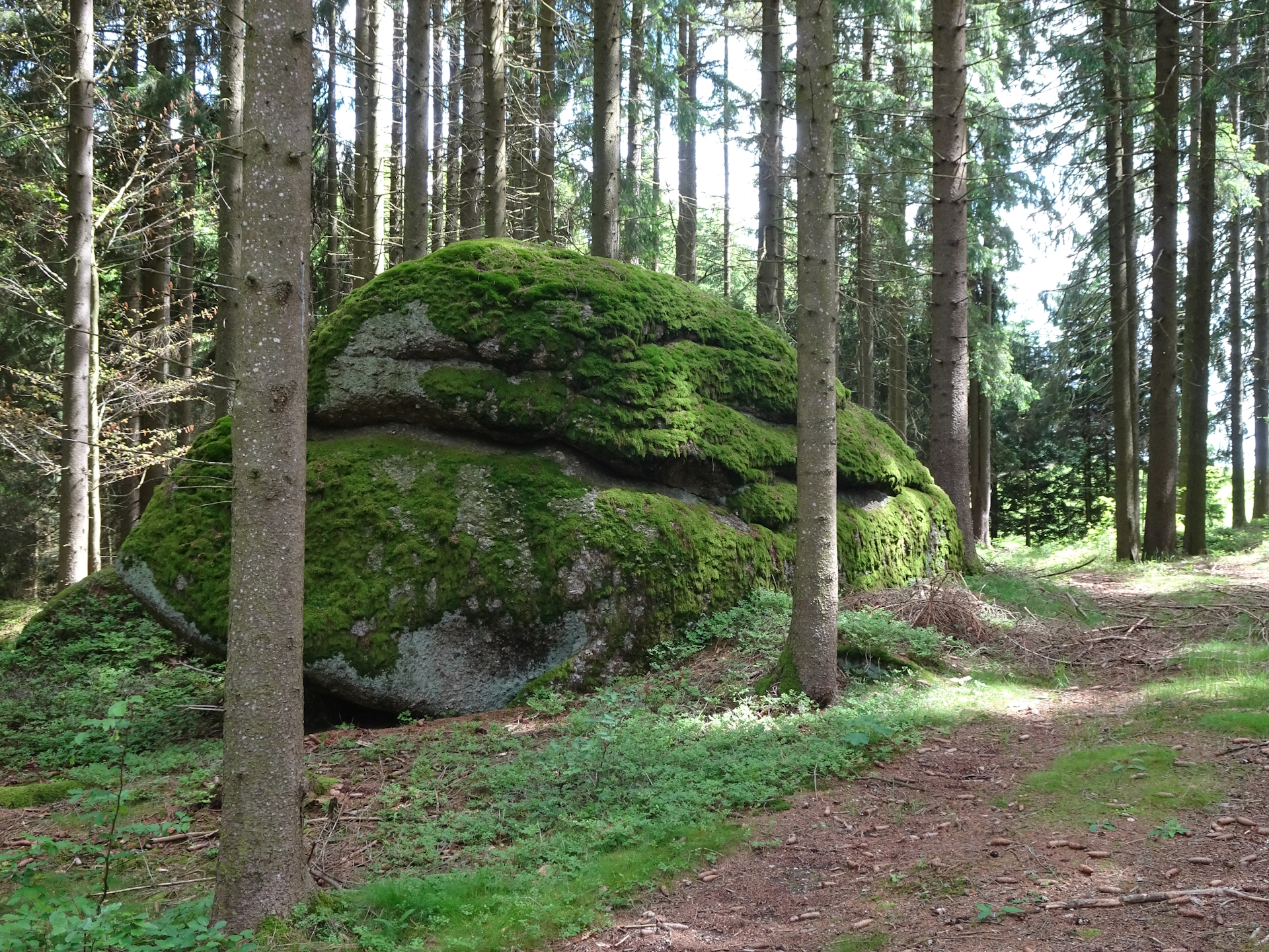 On the trail towards <i>Rammelhof</i>