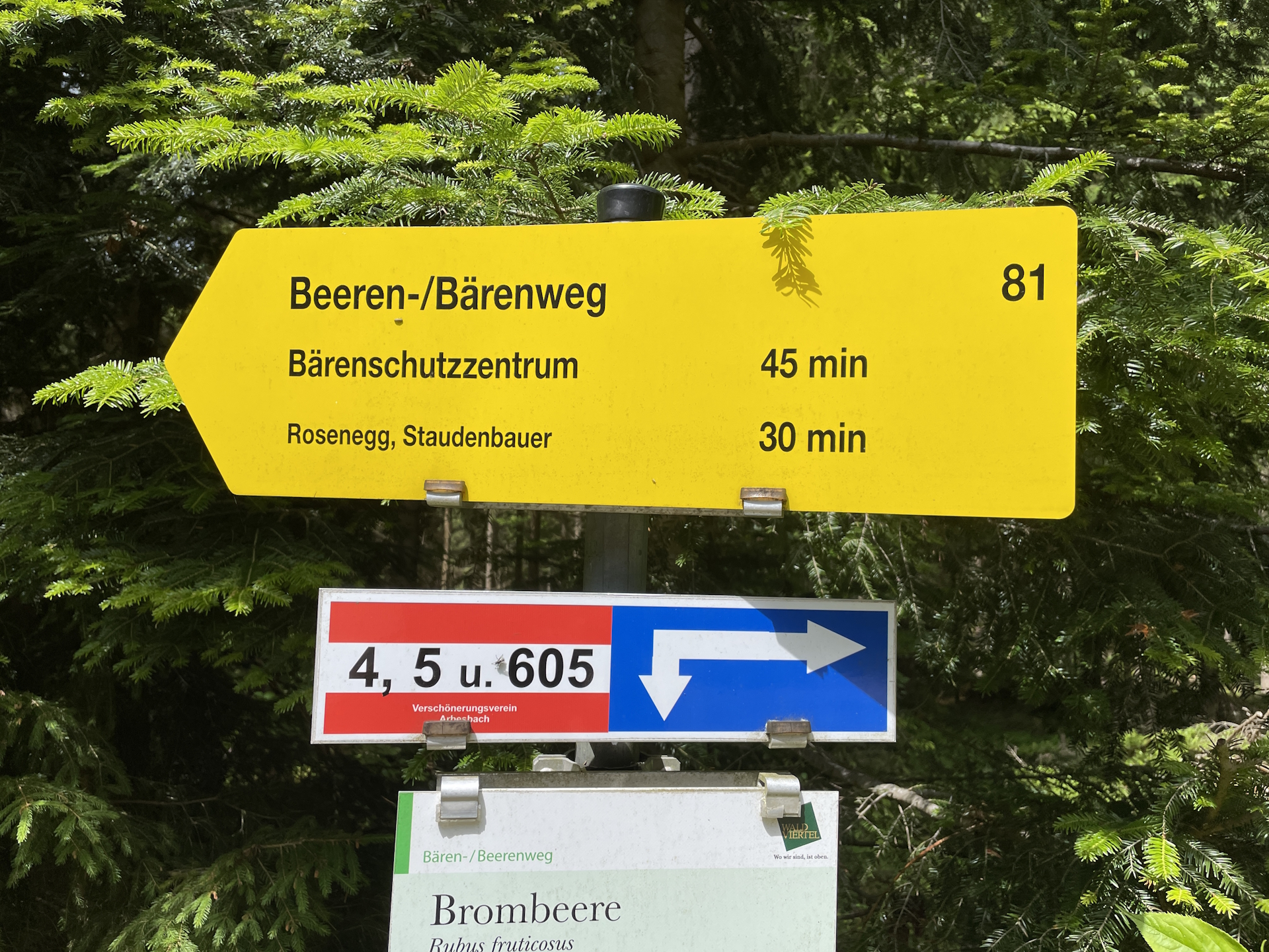 Very recommended detour to the bear sanctuary!