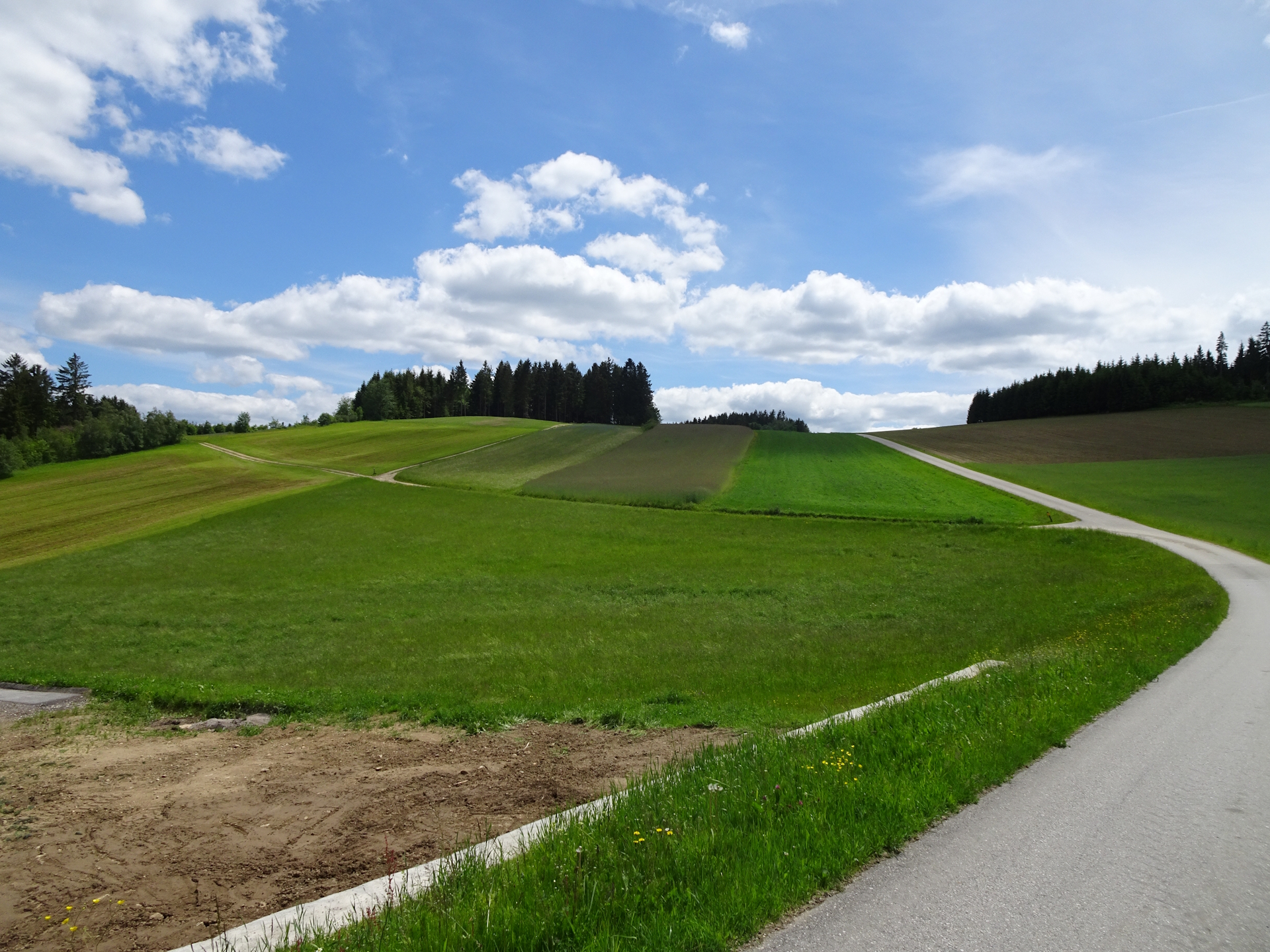 On the trail towards <i>Altmelon</i> (turn left here!)