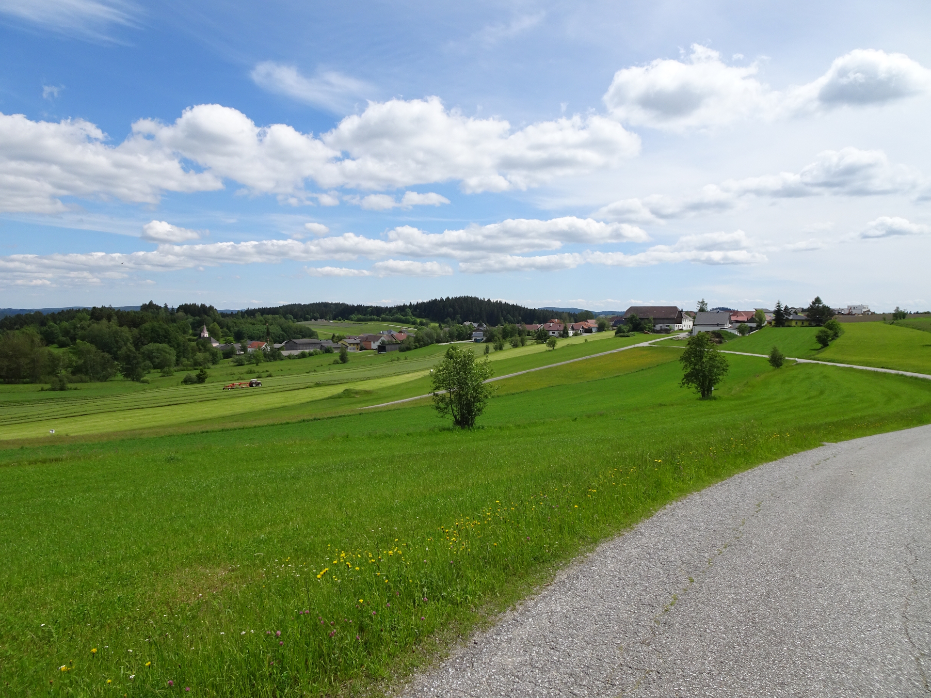 Approaching <i>Altmelon</i>