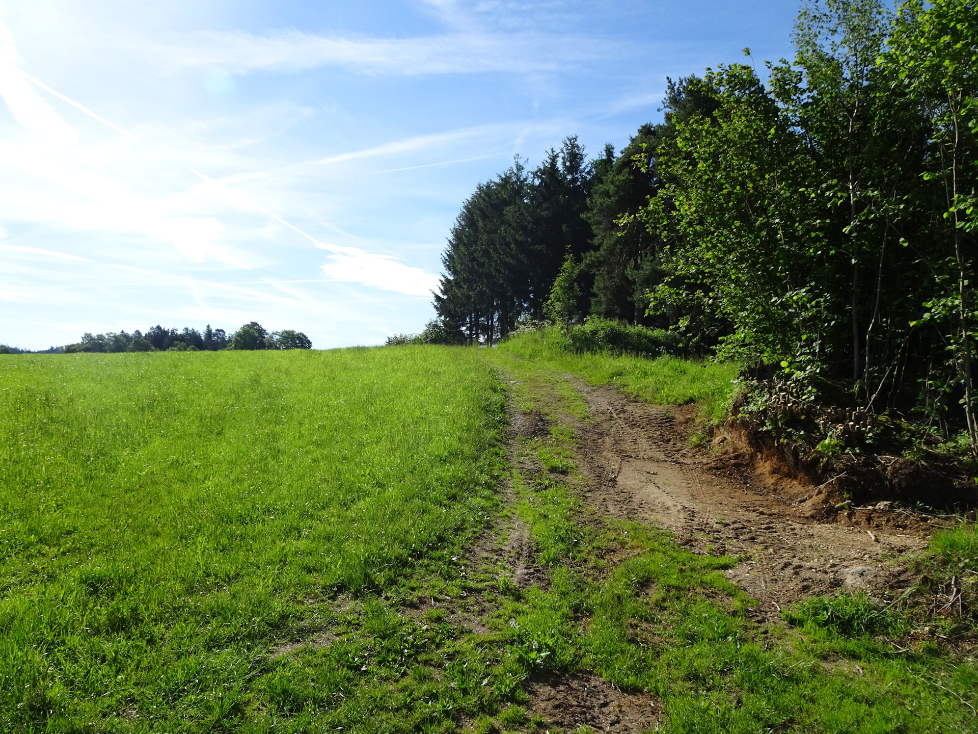 Easy to miss. Follow this dirt road after <i>Altmelon</i>