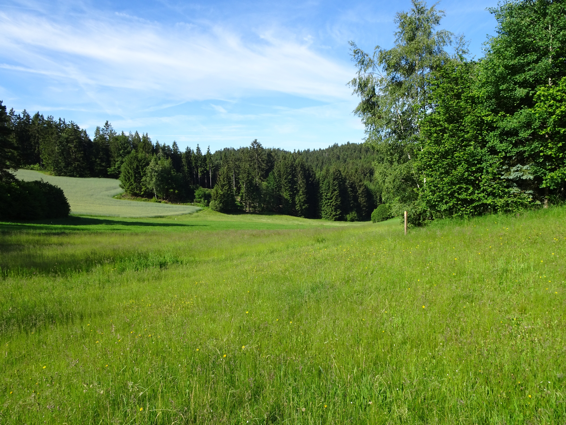 On the trail from <i>Altmelon</i> to <i>Schönbach</i>