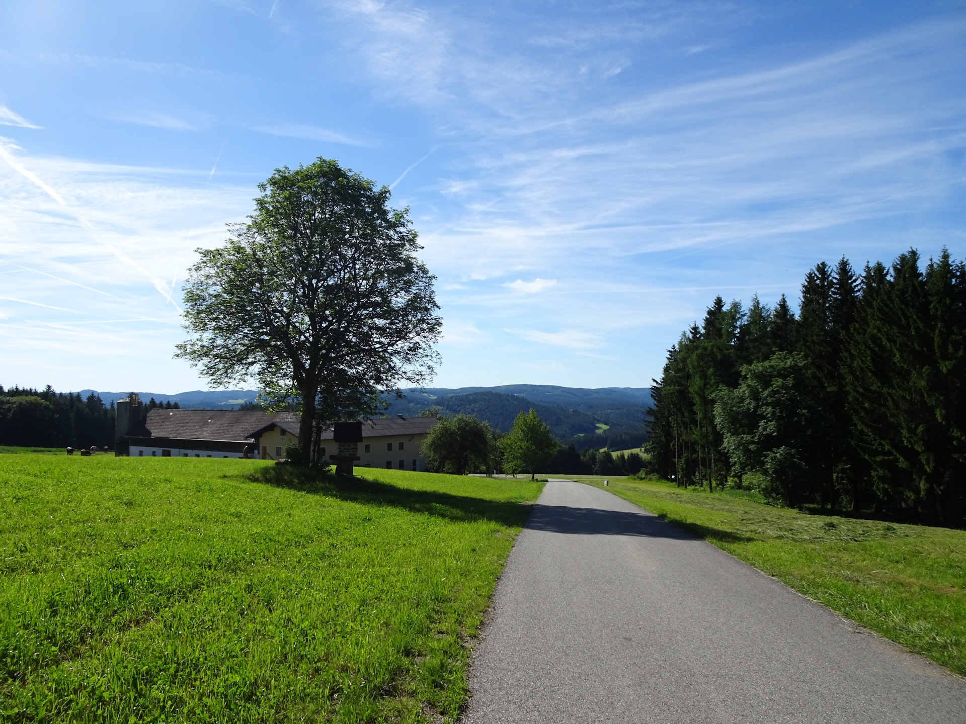 The trail is mainly on paved roads