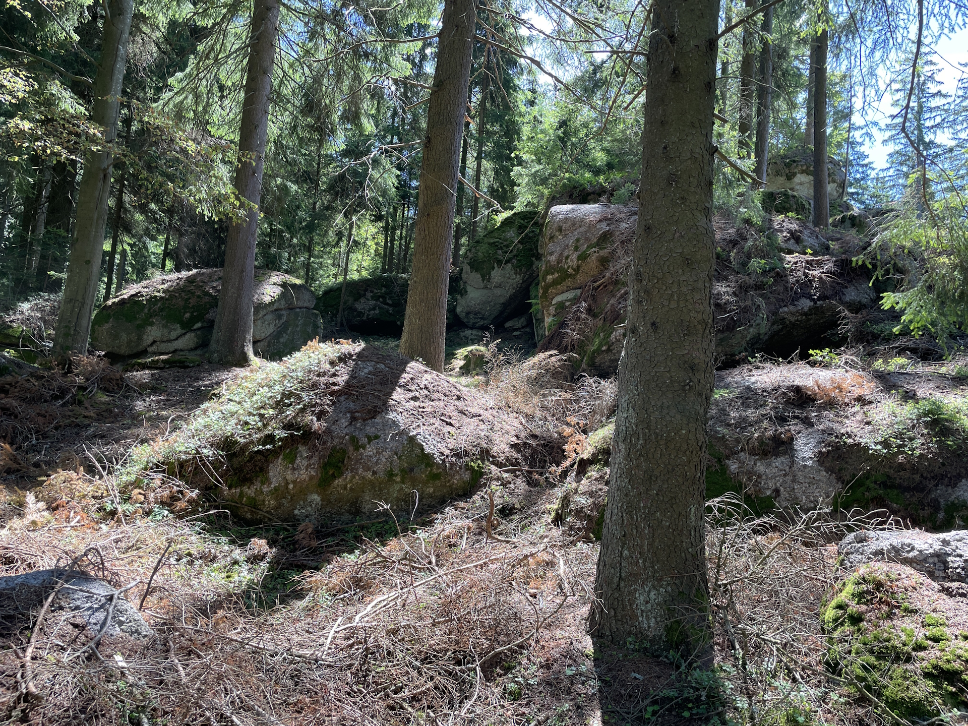 On the trail towards <i>Bad Traunstein</i>