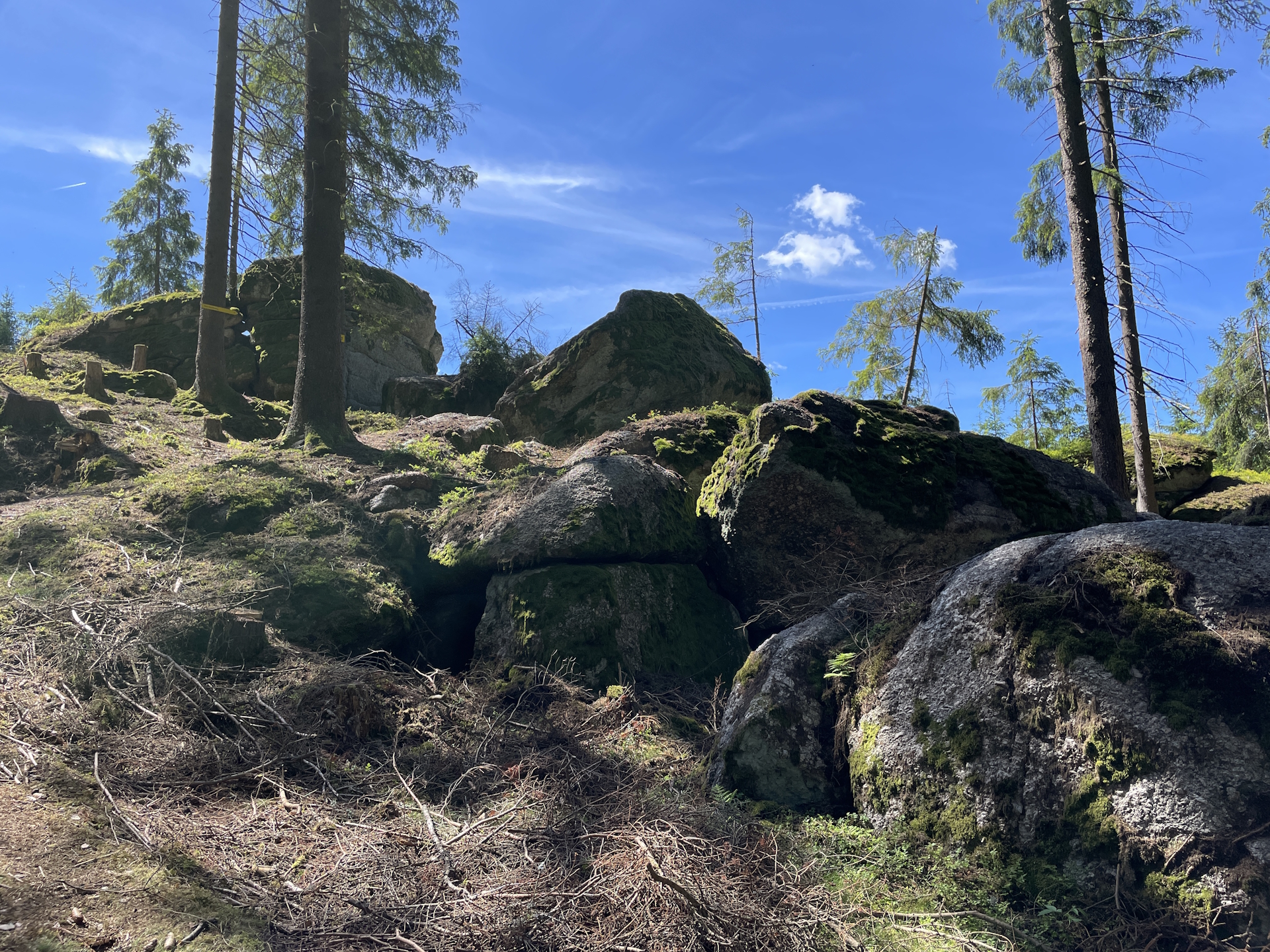 Shortly before the detour to <i>Steinerne Rast</i>