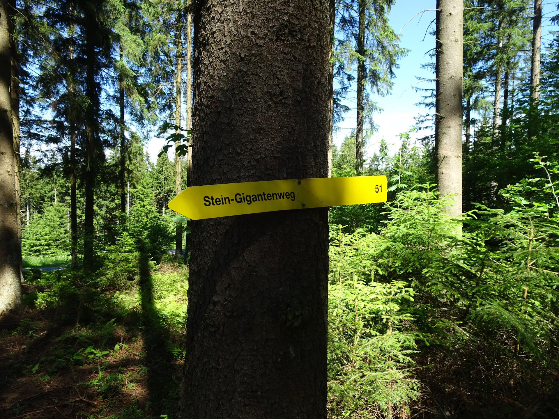 Follow the signposts towards <i>Steinerne Rast</i>