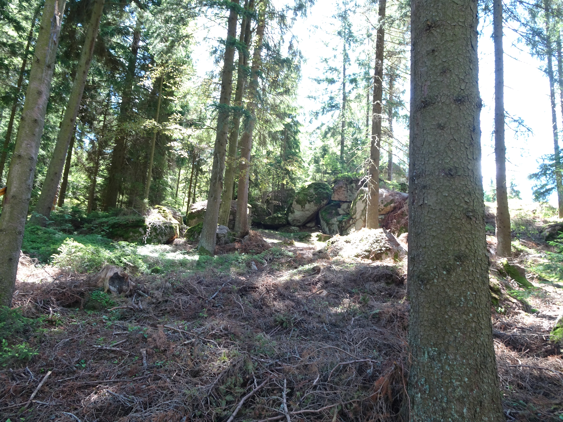 Shortly before <i>Steinerne Rast</i>