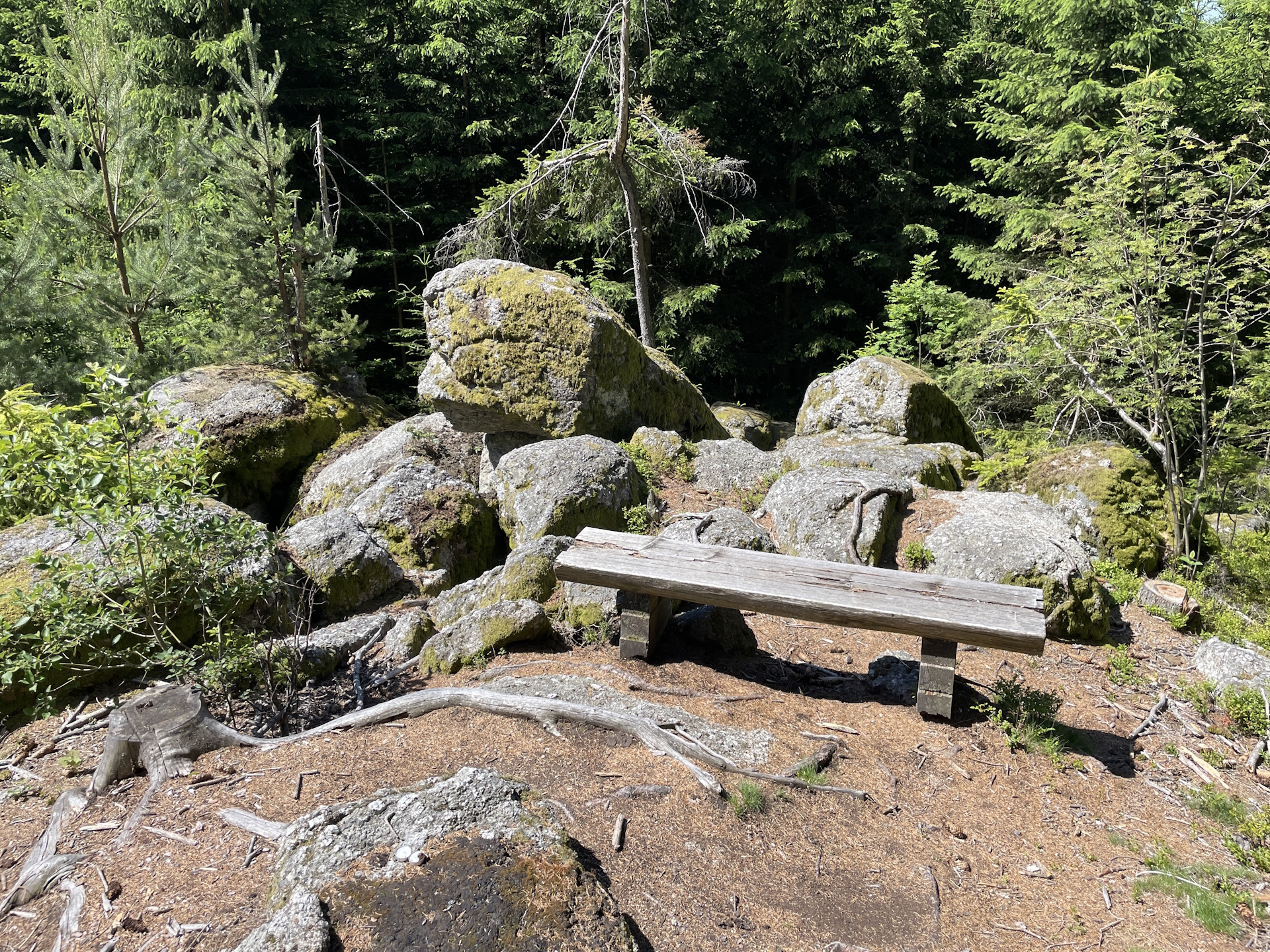 Inviting bench for a short rest at <i>Steinerne Rast</i>