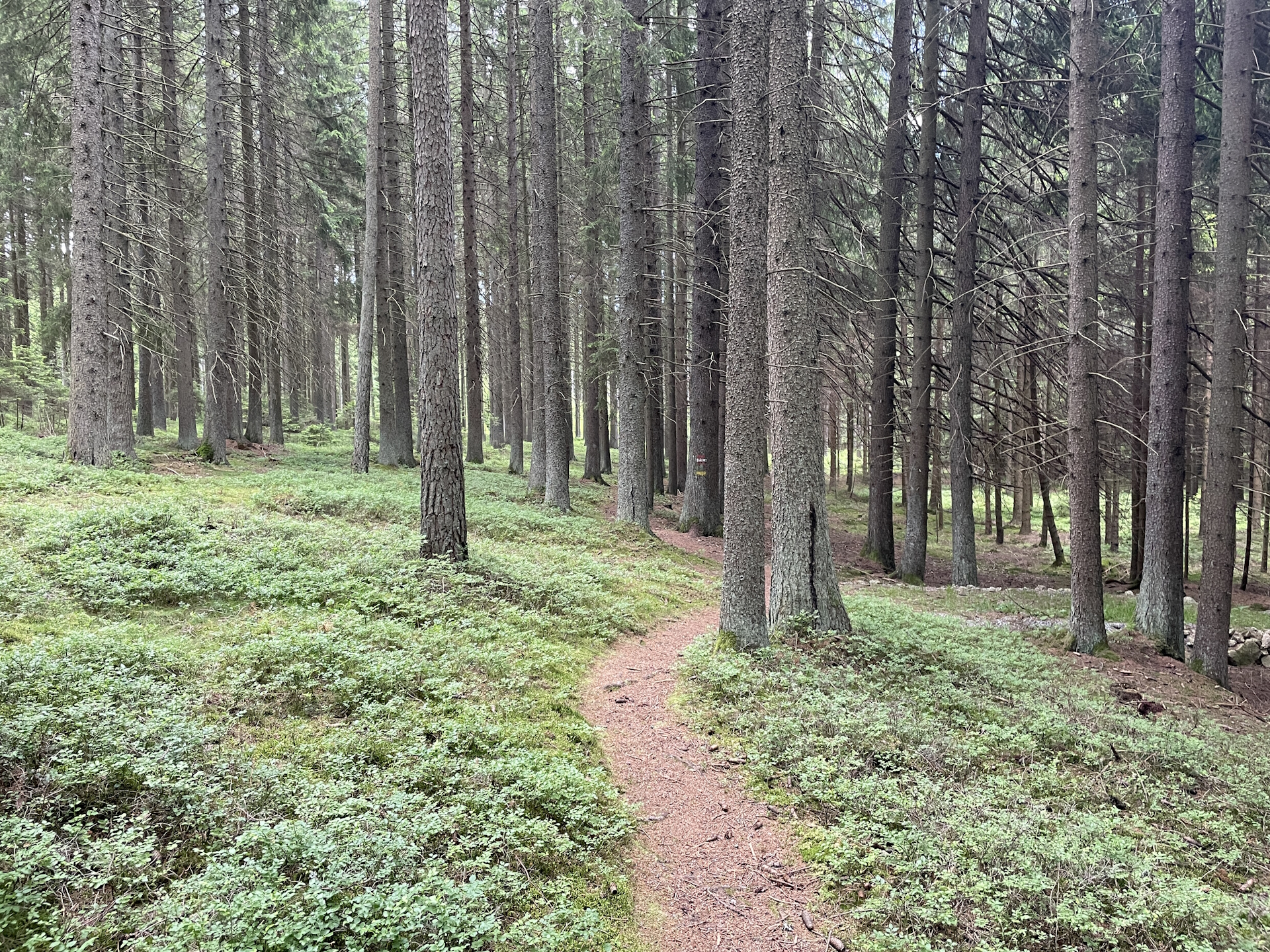 On the trail to <i>Ottenschlag</i>