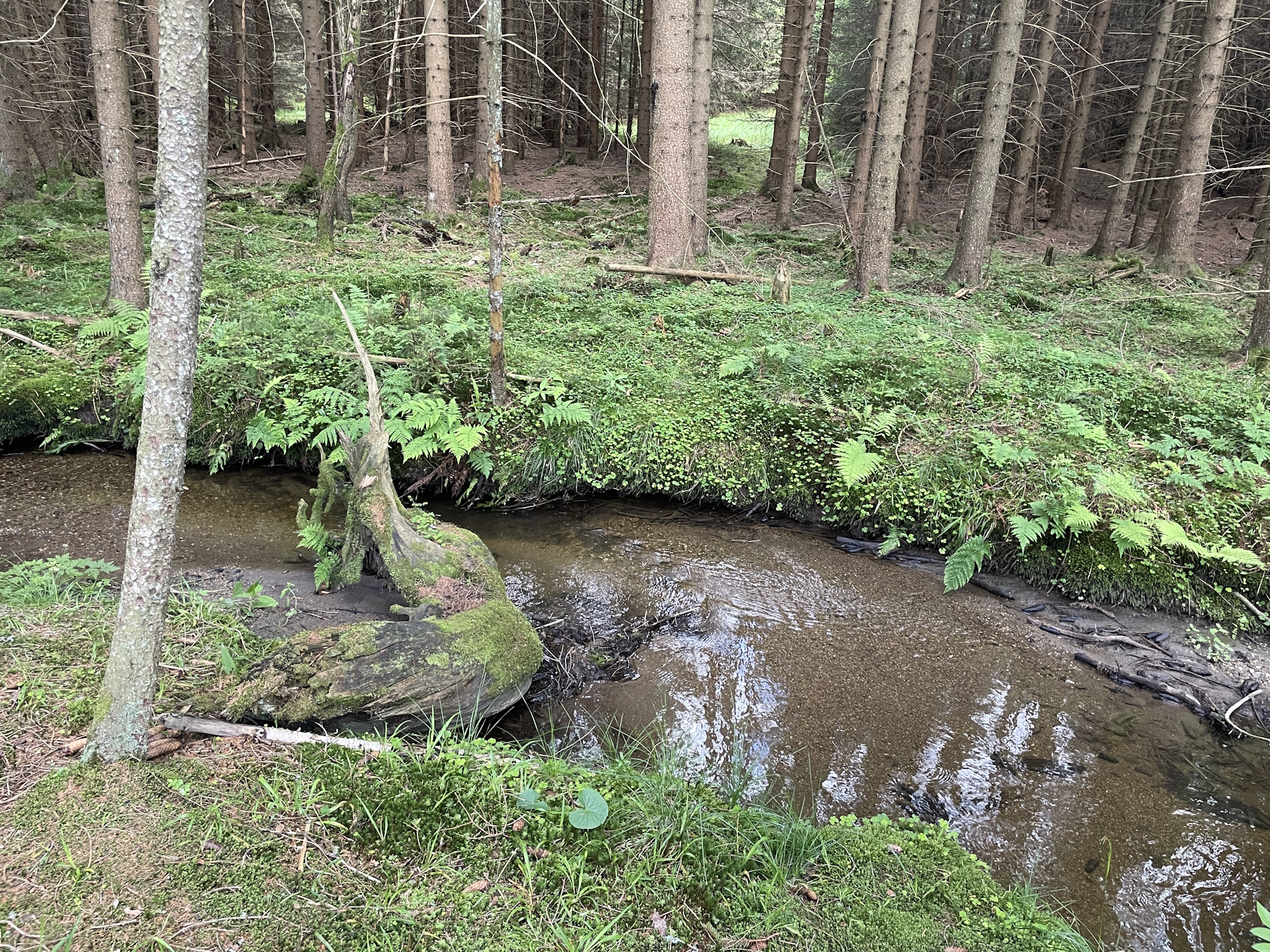 On the trail to <i>Ottenschlag</i>