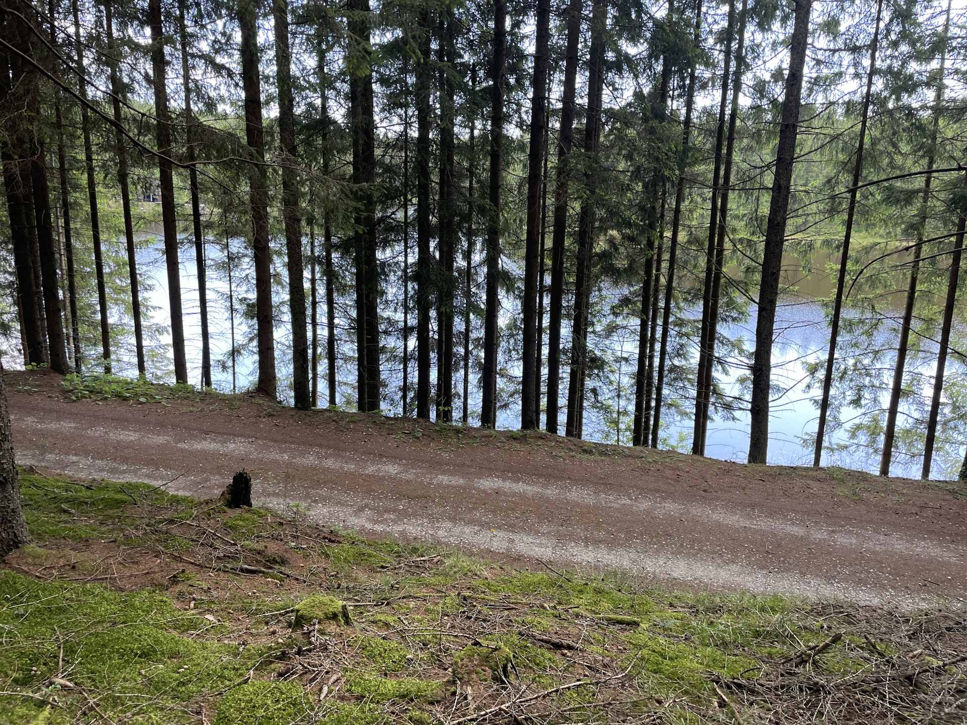 Passing by the <i>Weyerteich</i>