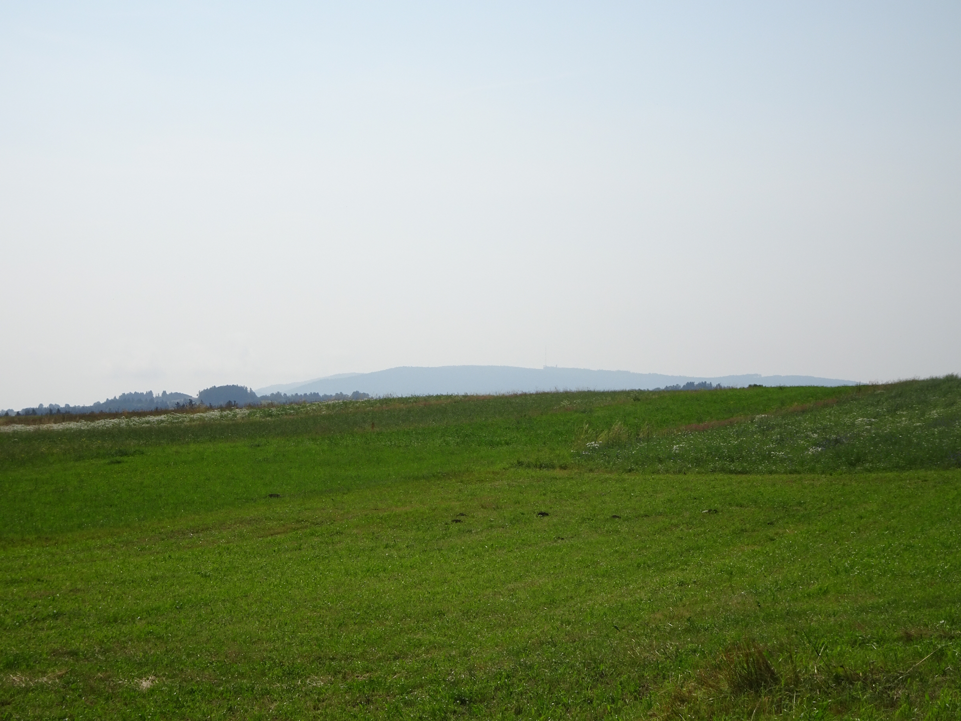 Distance view to the <i>Jauerling</i>