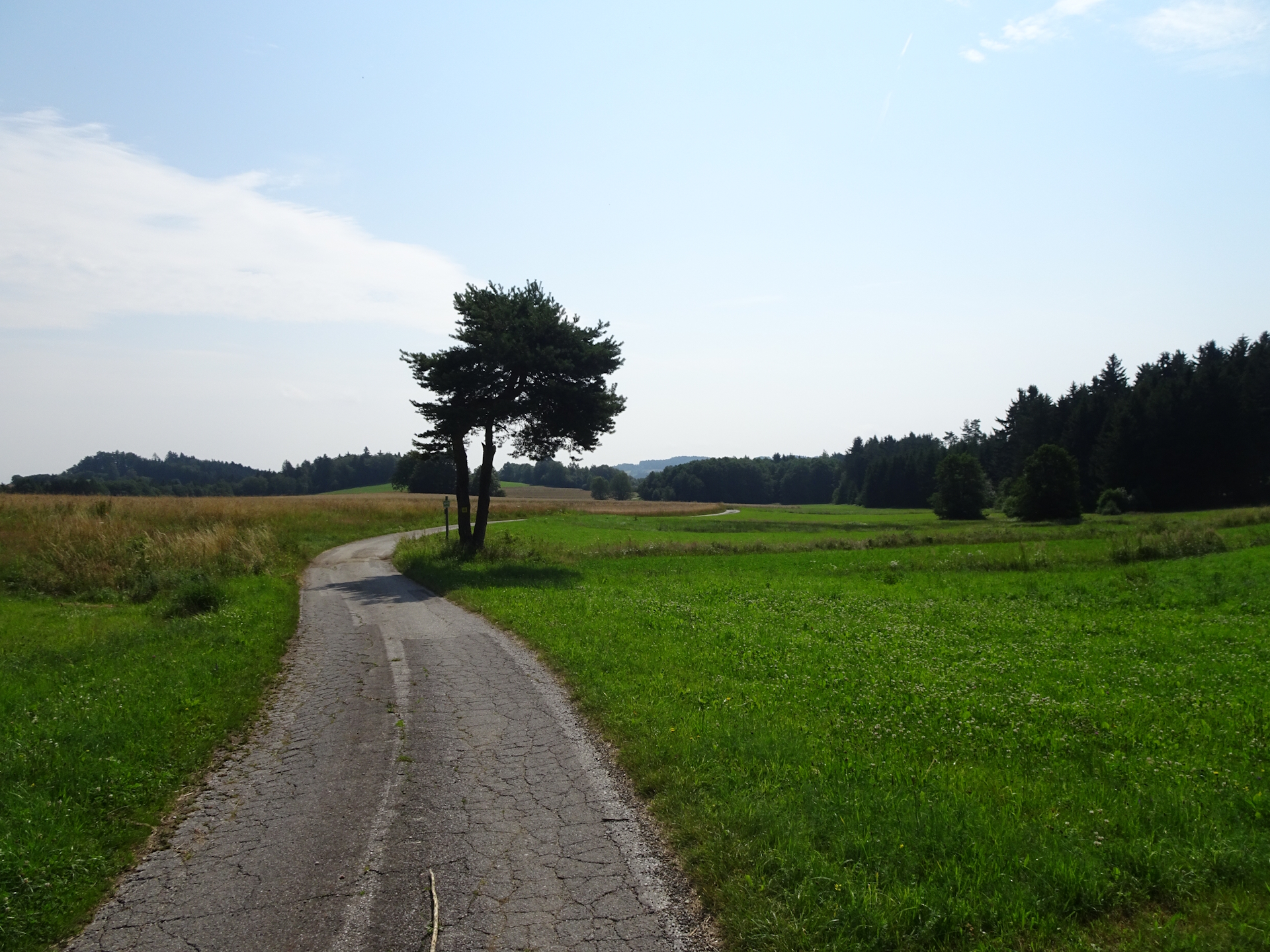 Small road towards <i>Ernst</i>