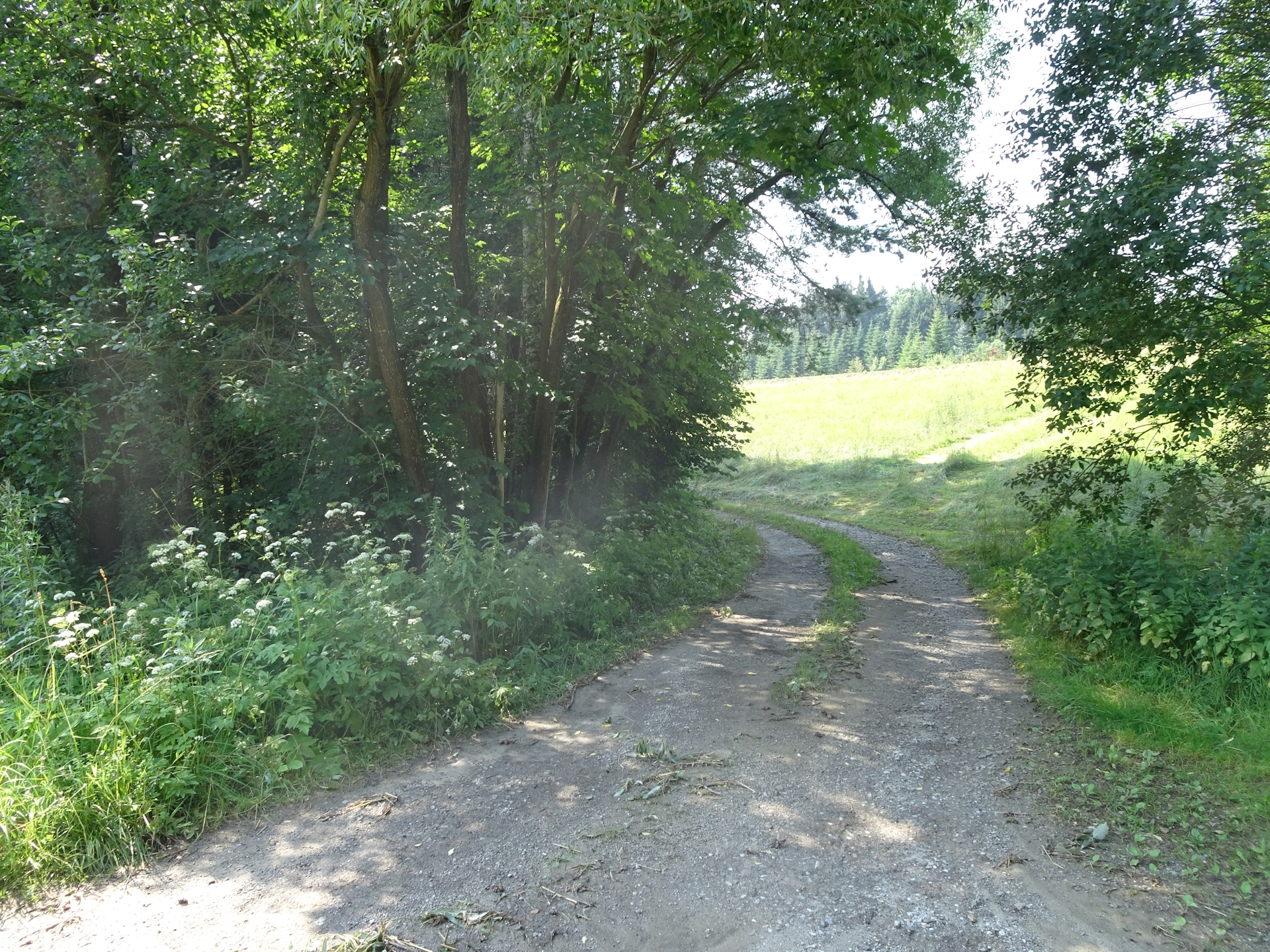 Finally some non-paved road...