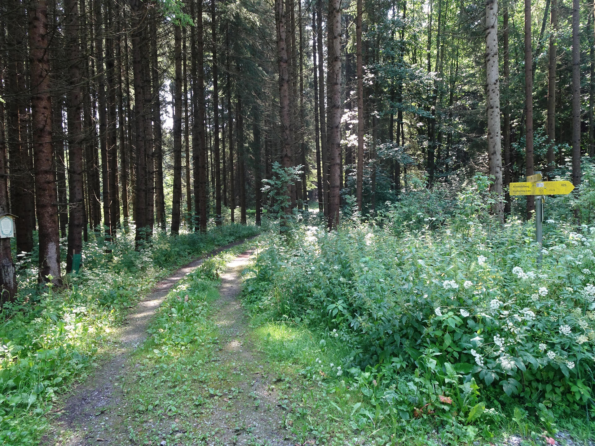 One of the few forest trails to <i>Elsenreith</i>