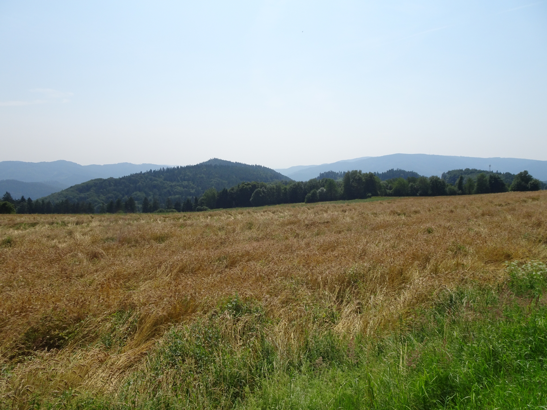 On the road towards <i>Elsenreith</i>