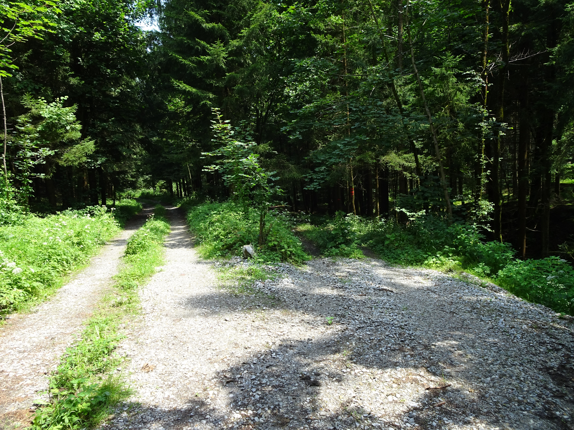 Turn right here and follow the marked trail