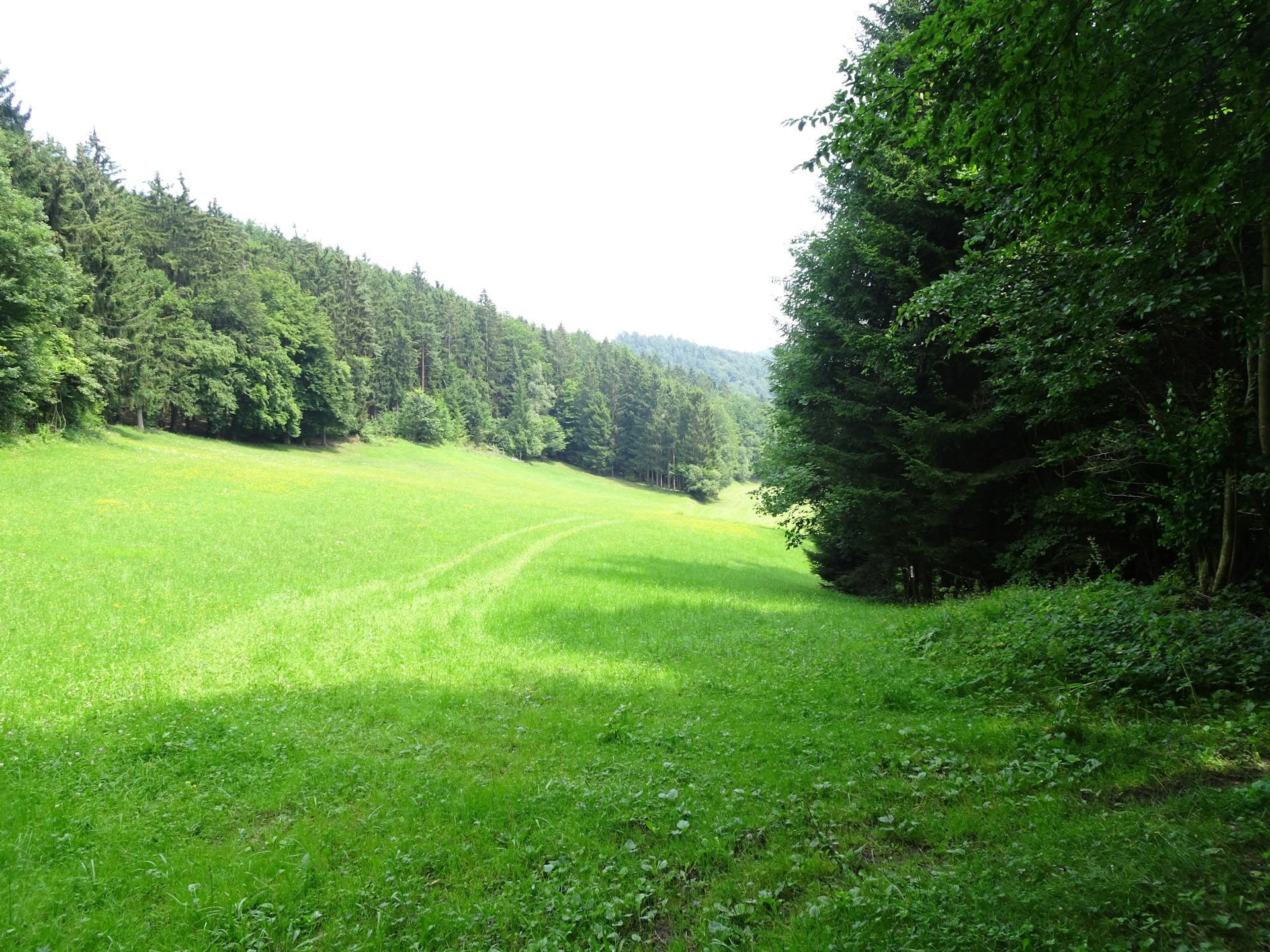 After many paved roads, NO TRAIL AT ALL!