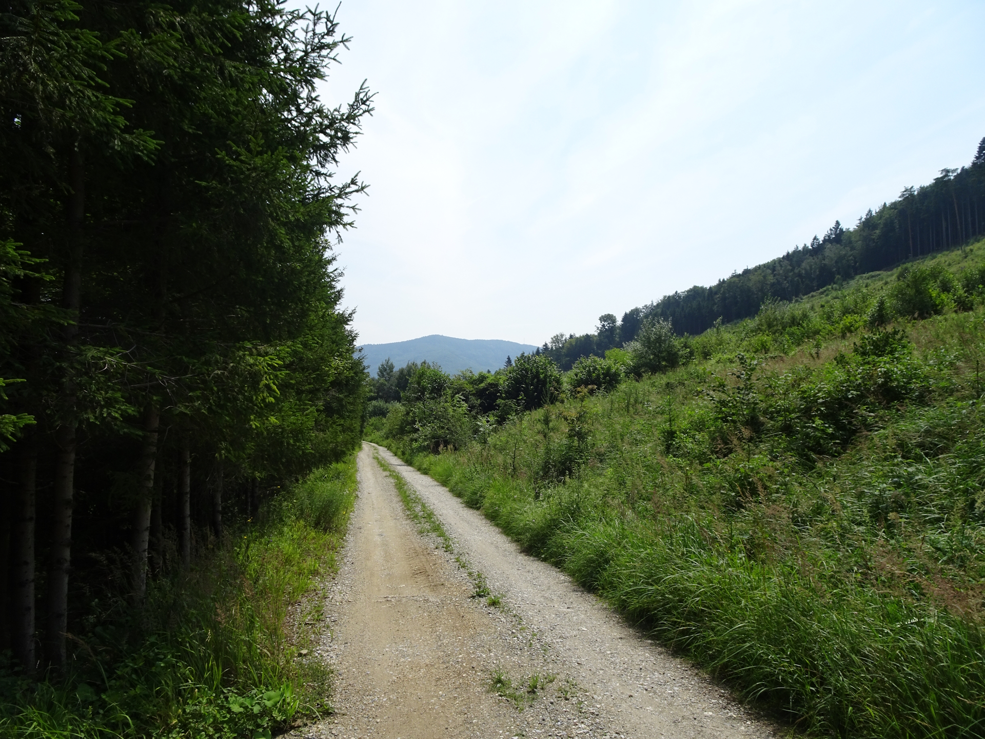 Towards <i>Trandorf</i>