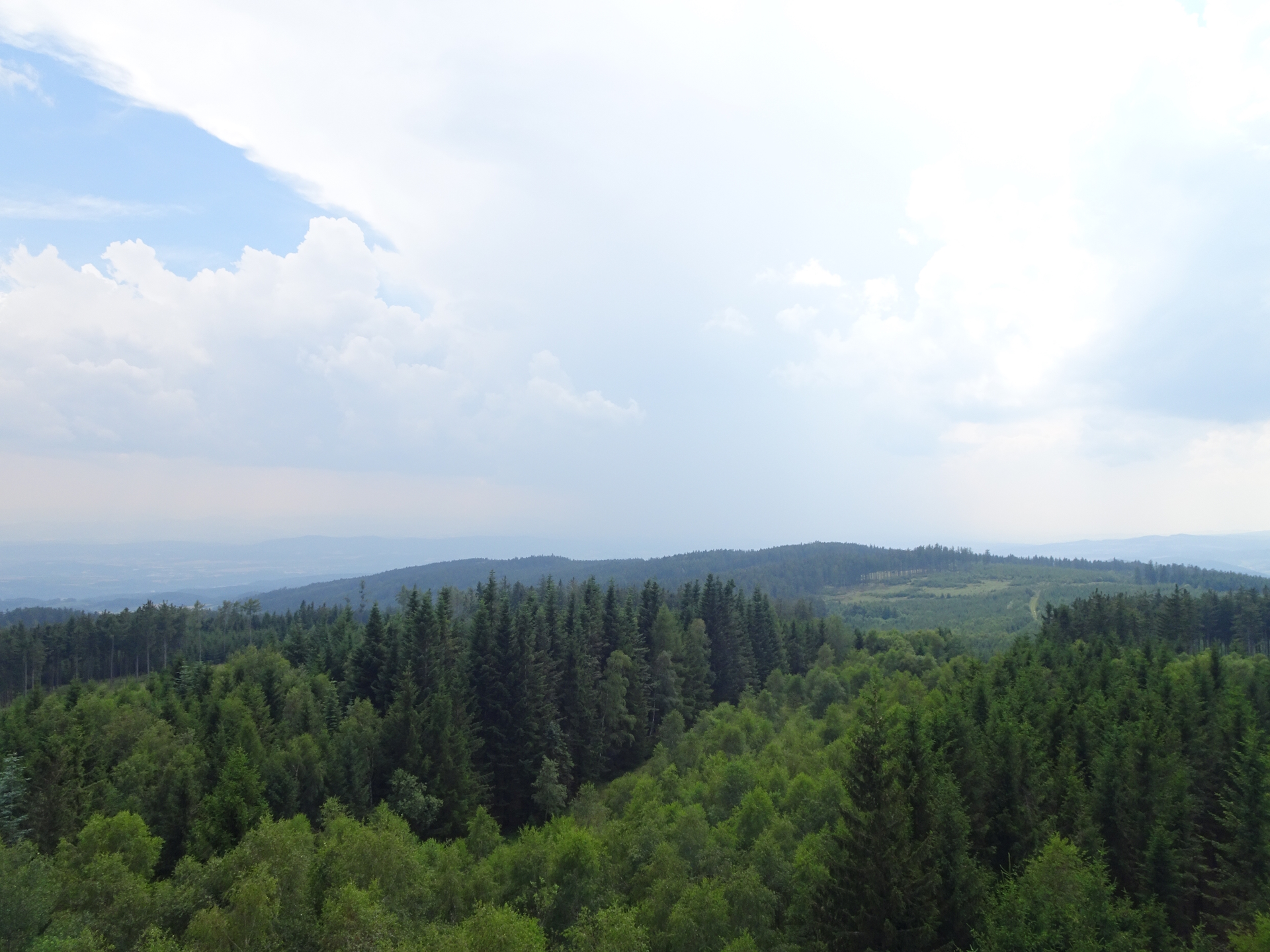 View from the <i>Jauerling</i> (top of the tower)