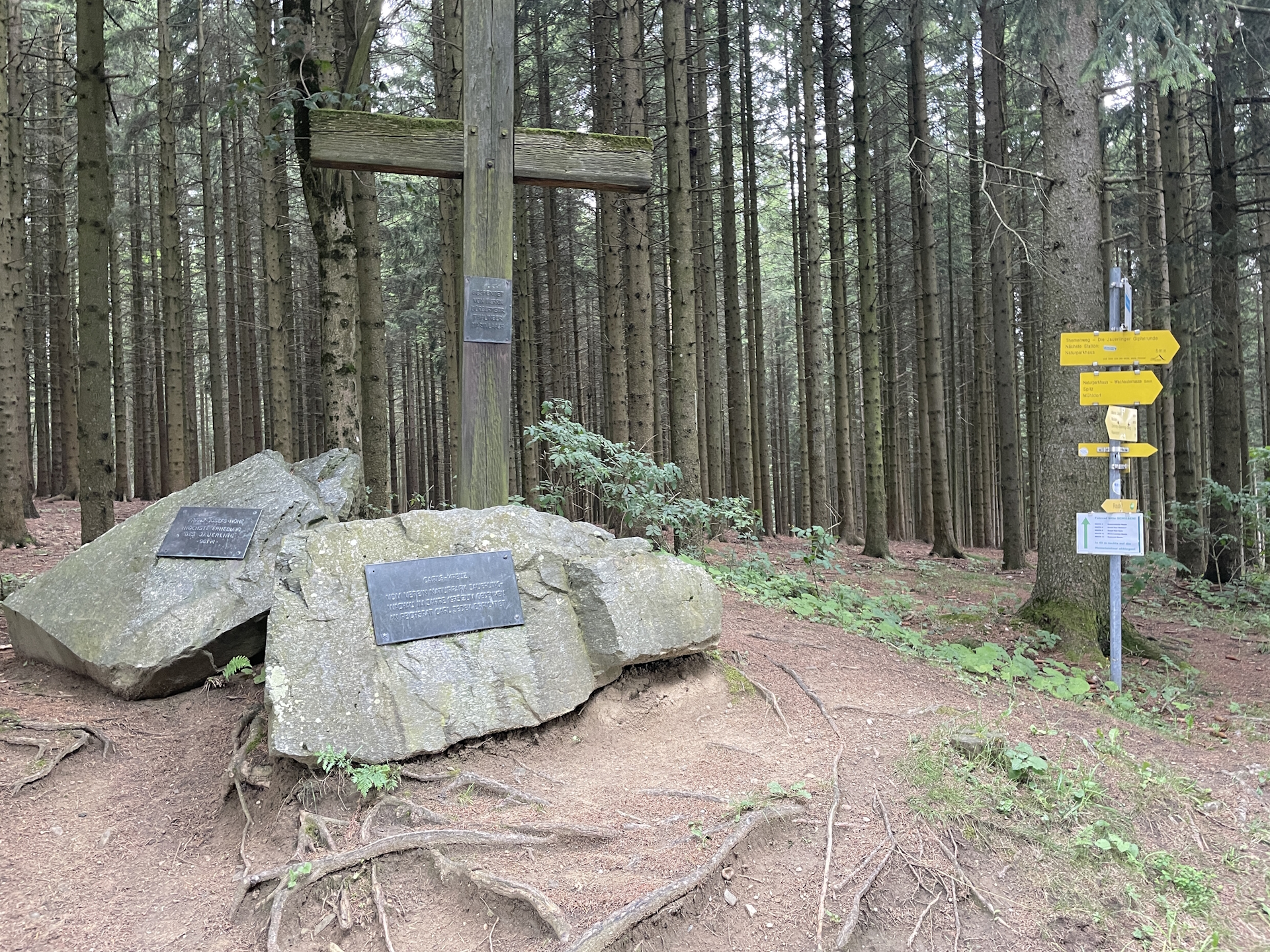 Finally reached the top of <i>Jauerling</i>