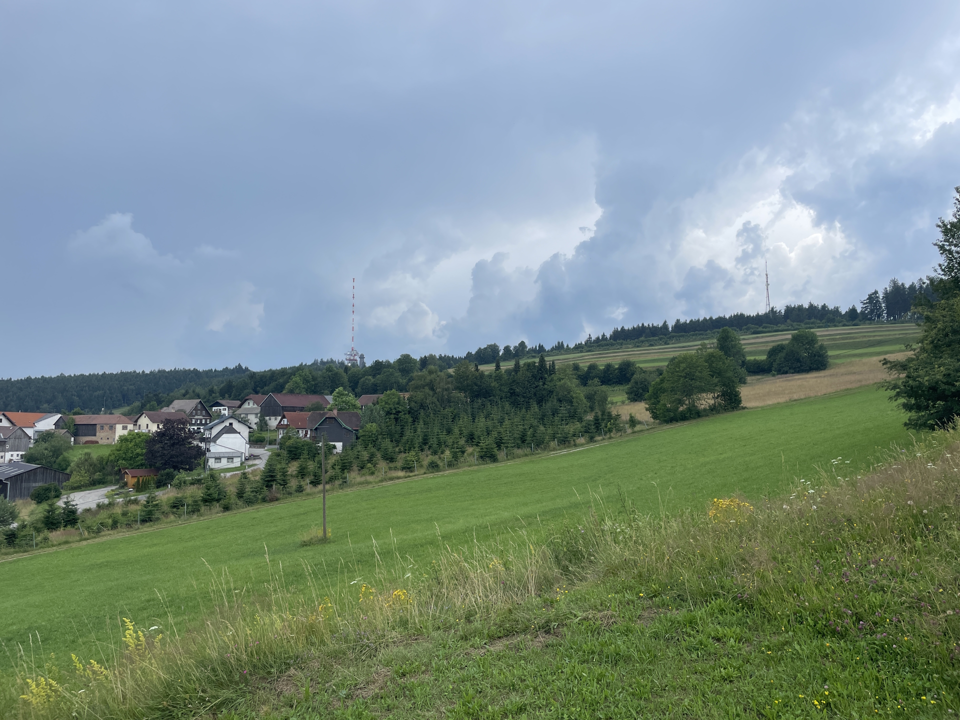 Look back to <i>Jauerling</i> on the way to <i>Spitz</i>