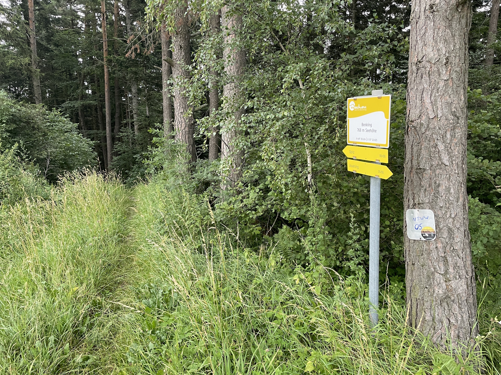 On the trail down to <i>Spitz an der Donau</i>